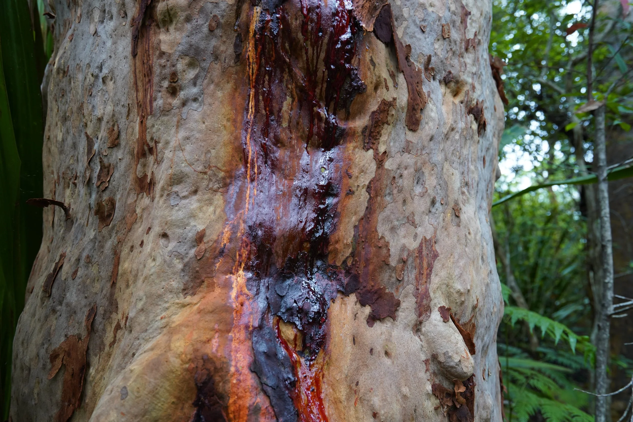 2024-01-16 15.35.22.jpg