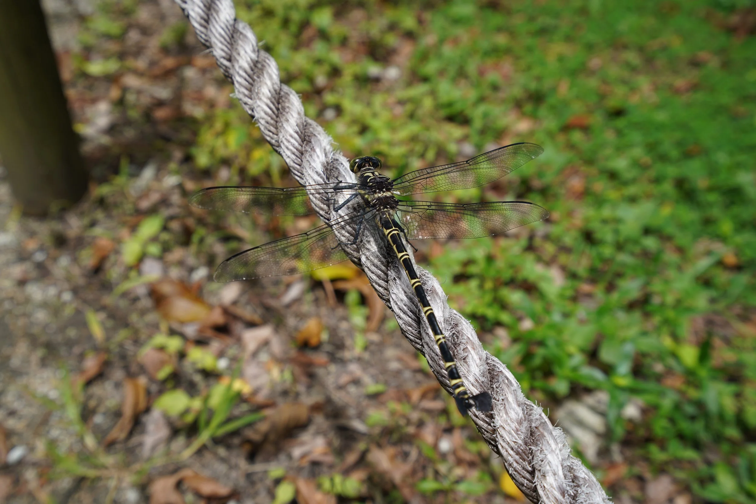 2024-01-26 11.06.38.JPG