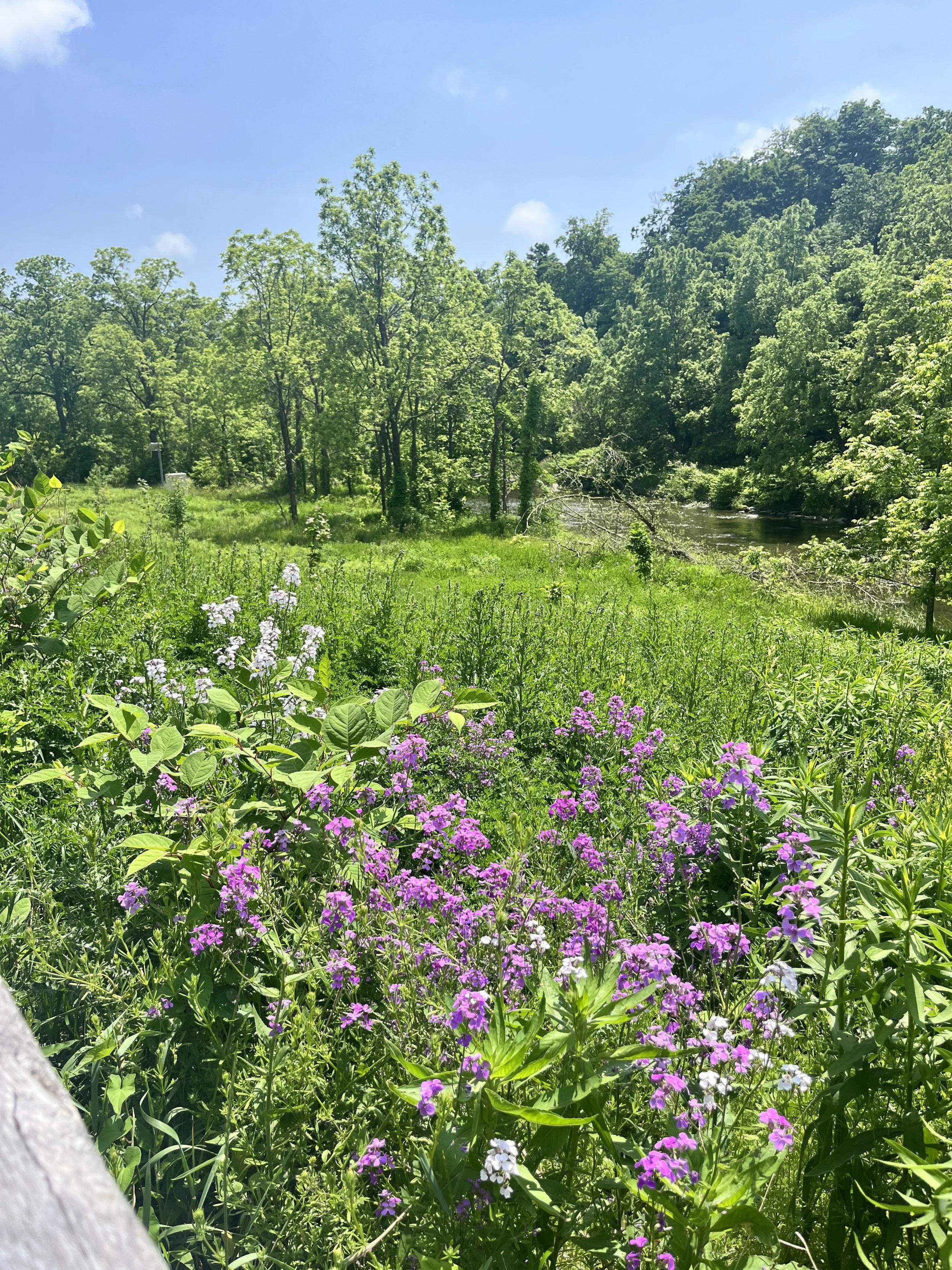 Photo 2024-06-03, 2 01 49 PM.jpg