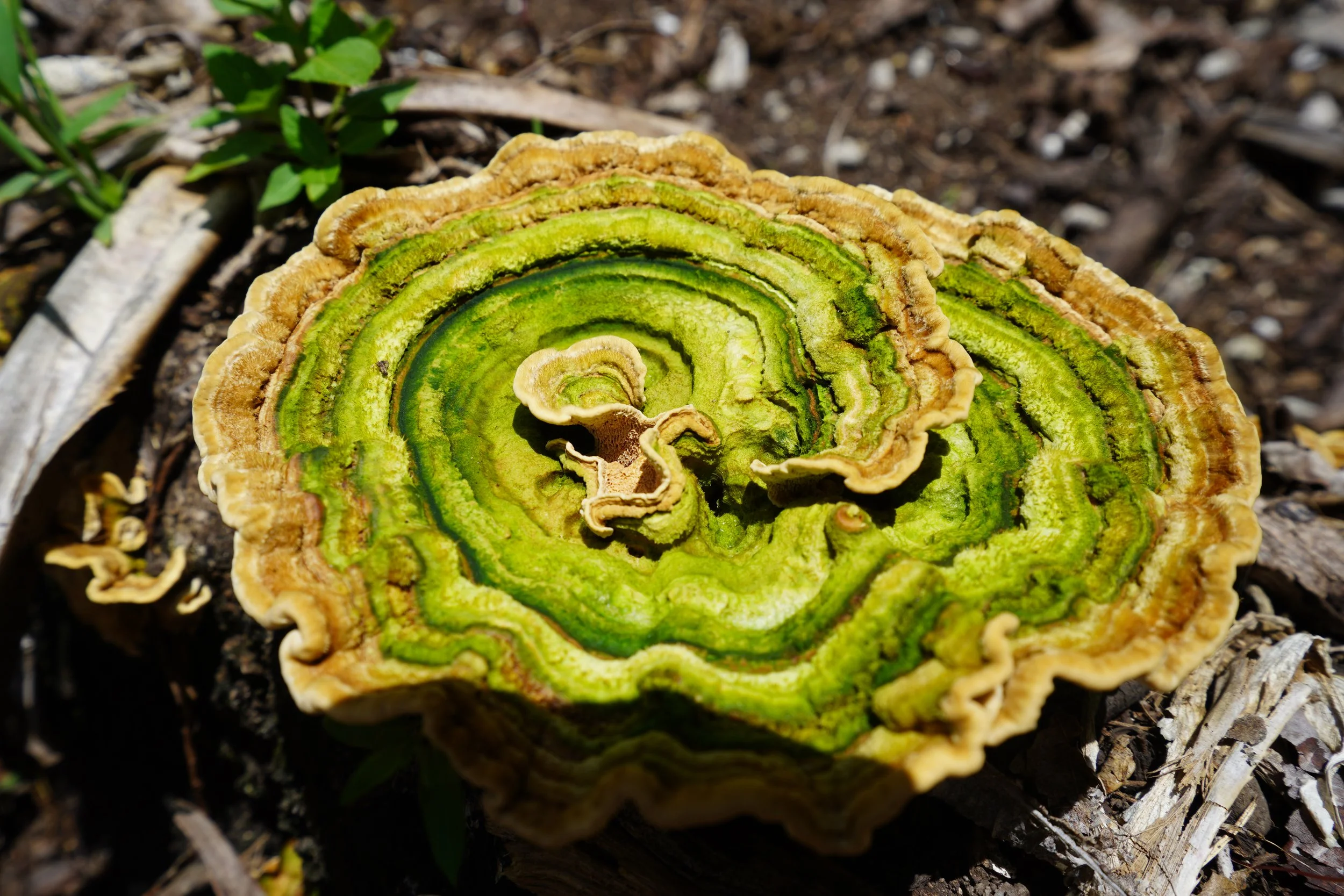 2024-01-22 11.46.40.jpg