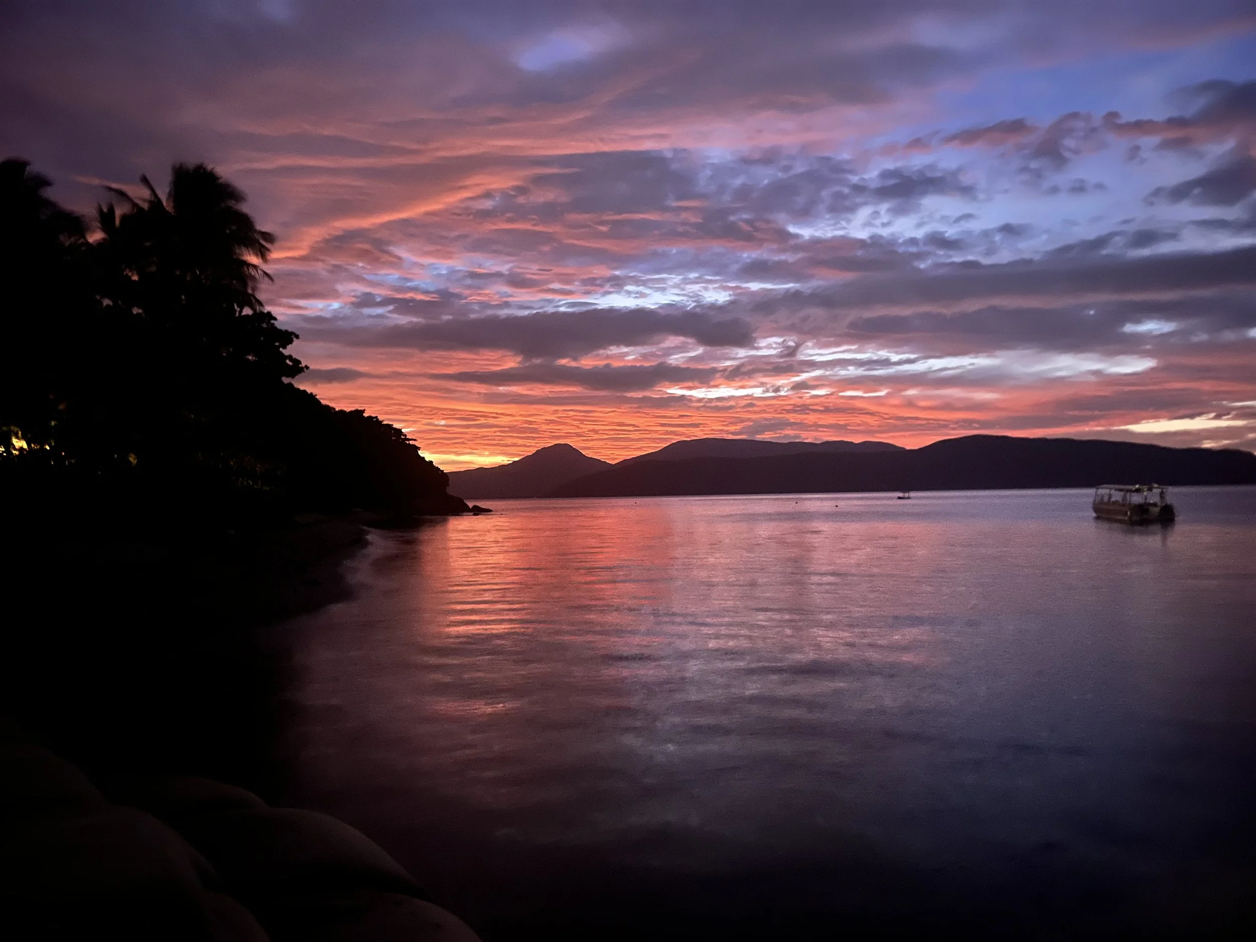 Photo 2024-01-24, 7 32 38 PM.jpg