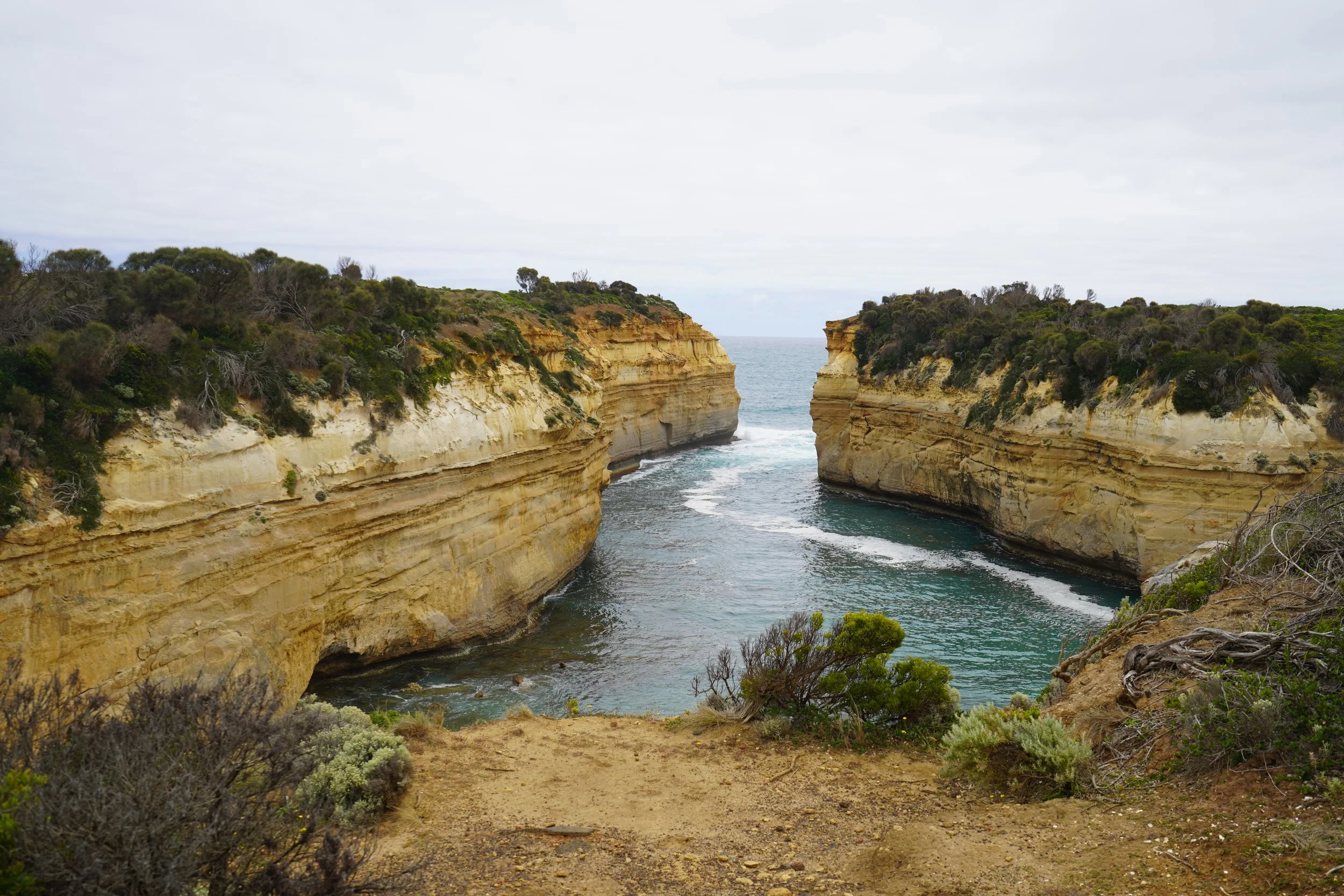 2024-01-29 14.13.58.JPG