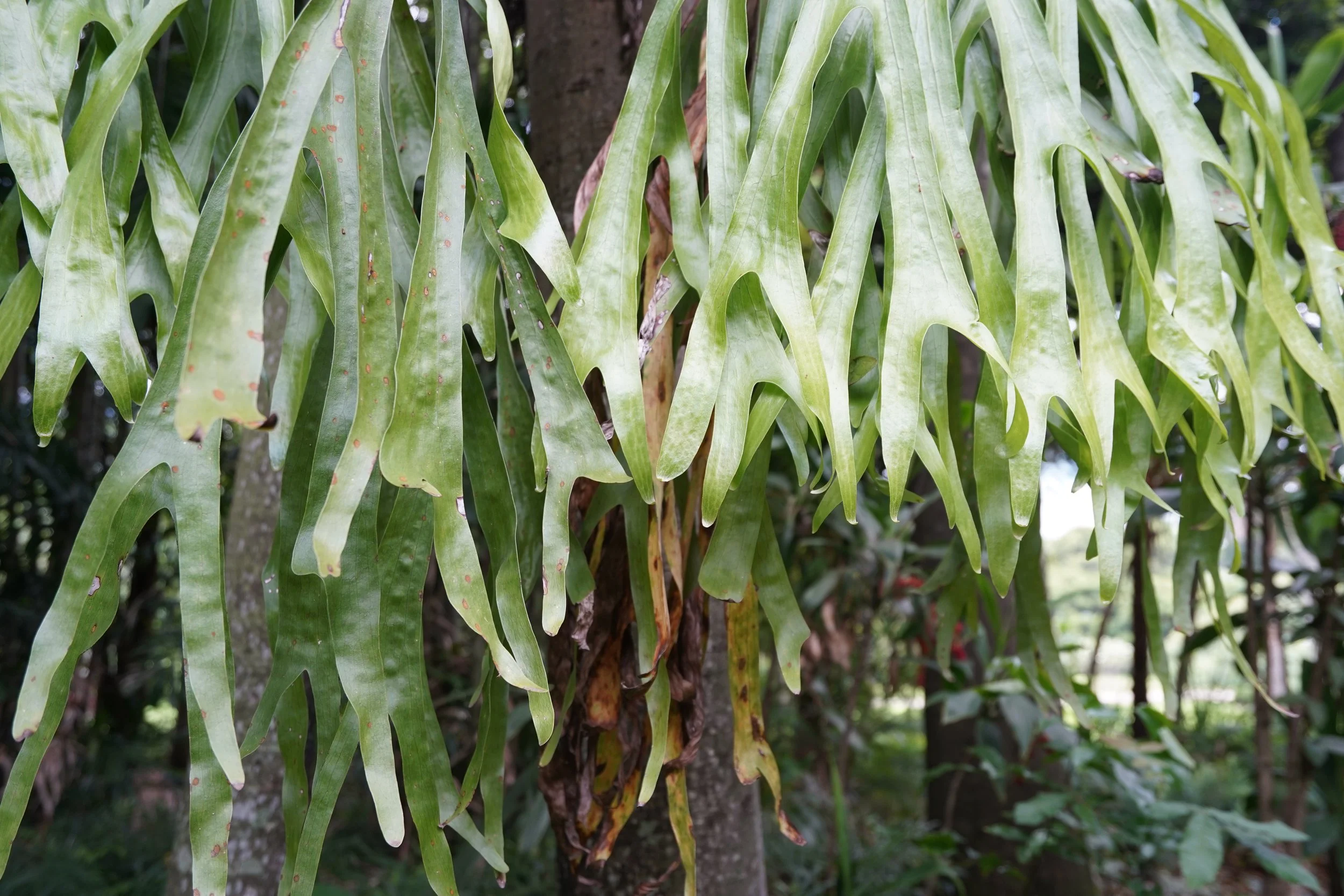 2024-01-20 12.19.33.jpg