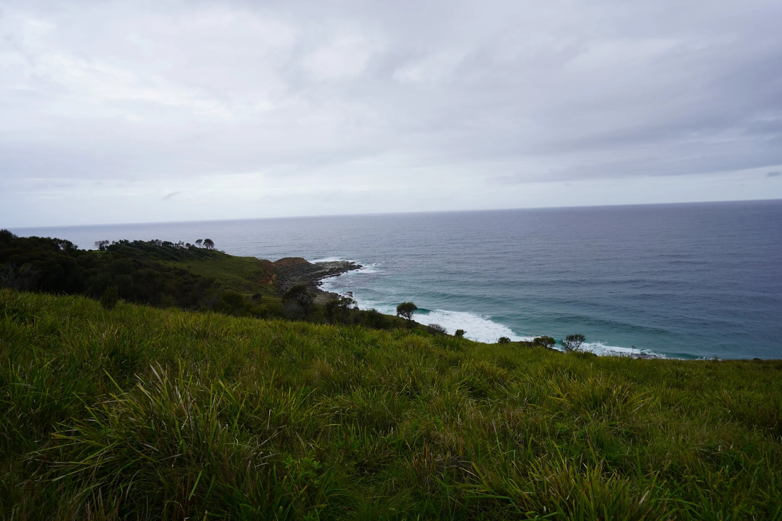 2024-01-16 16.18.26.jpg