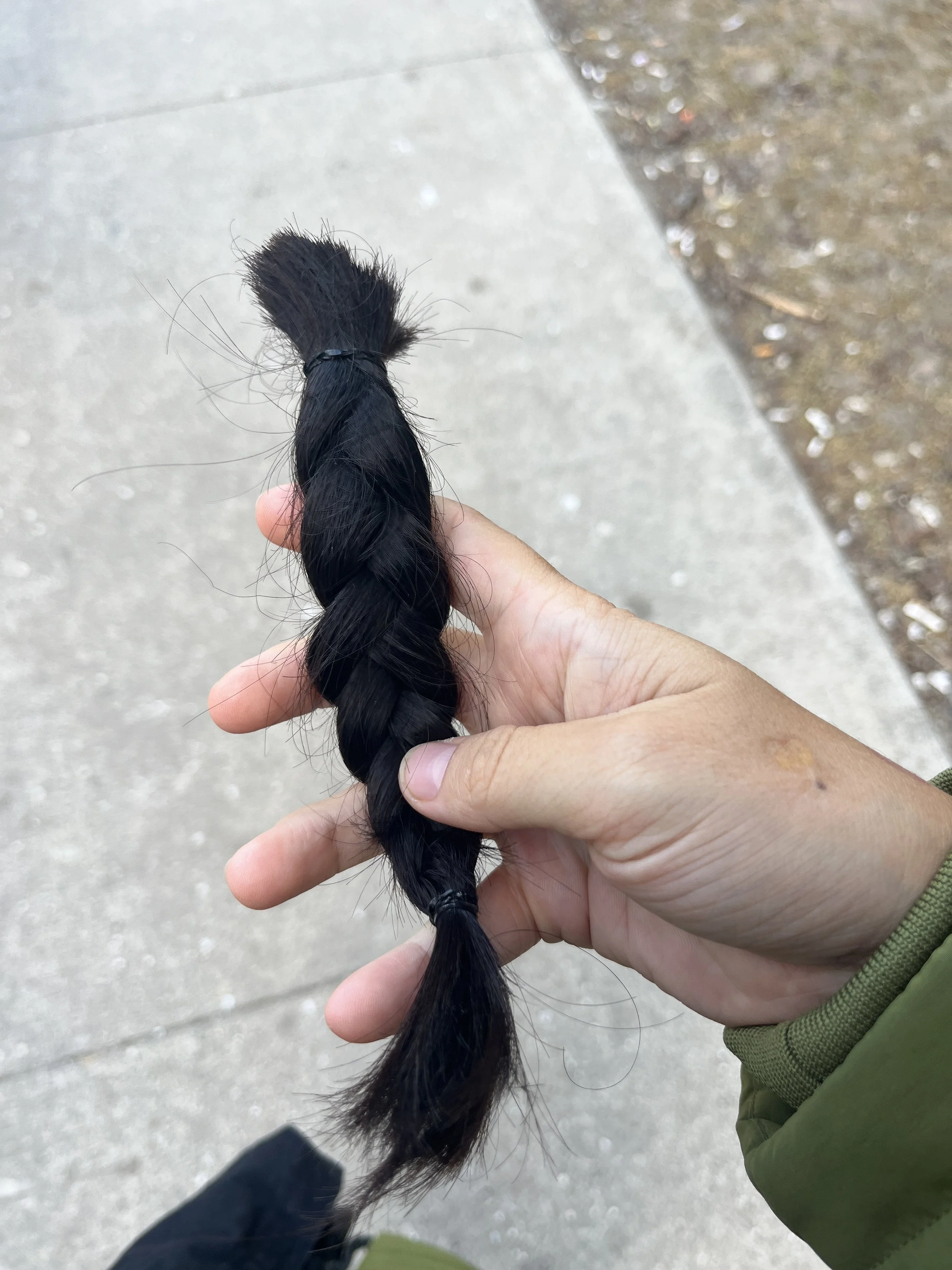 Photo 2024-02-14, 4 26 33 PM.jpg