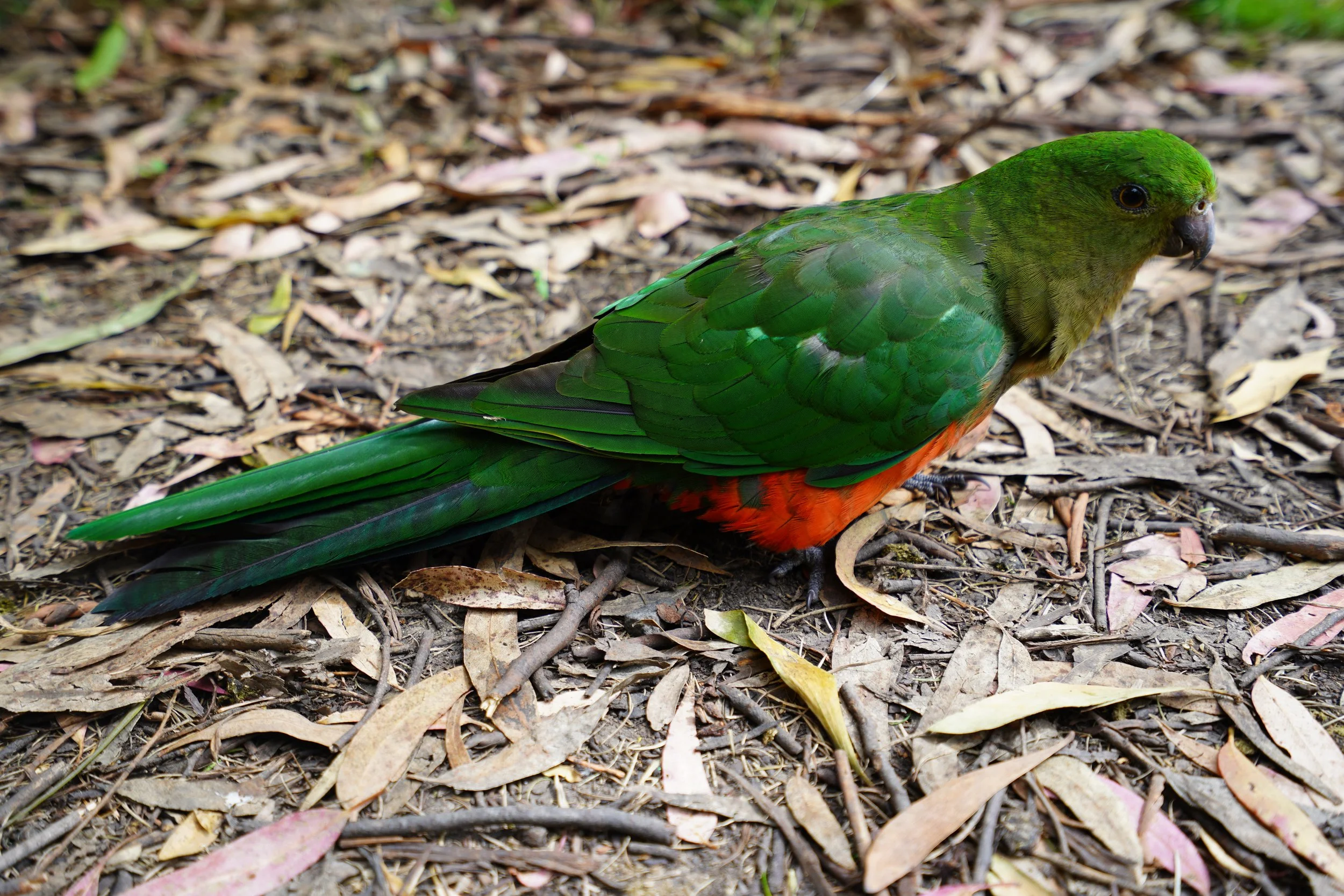 2024-01-29 09.31.27.jpg