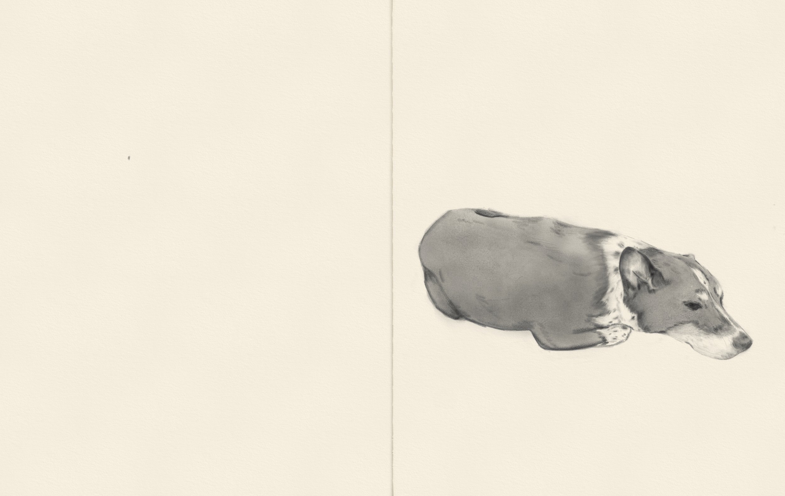 Sketchbook-Wide 5.jpg