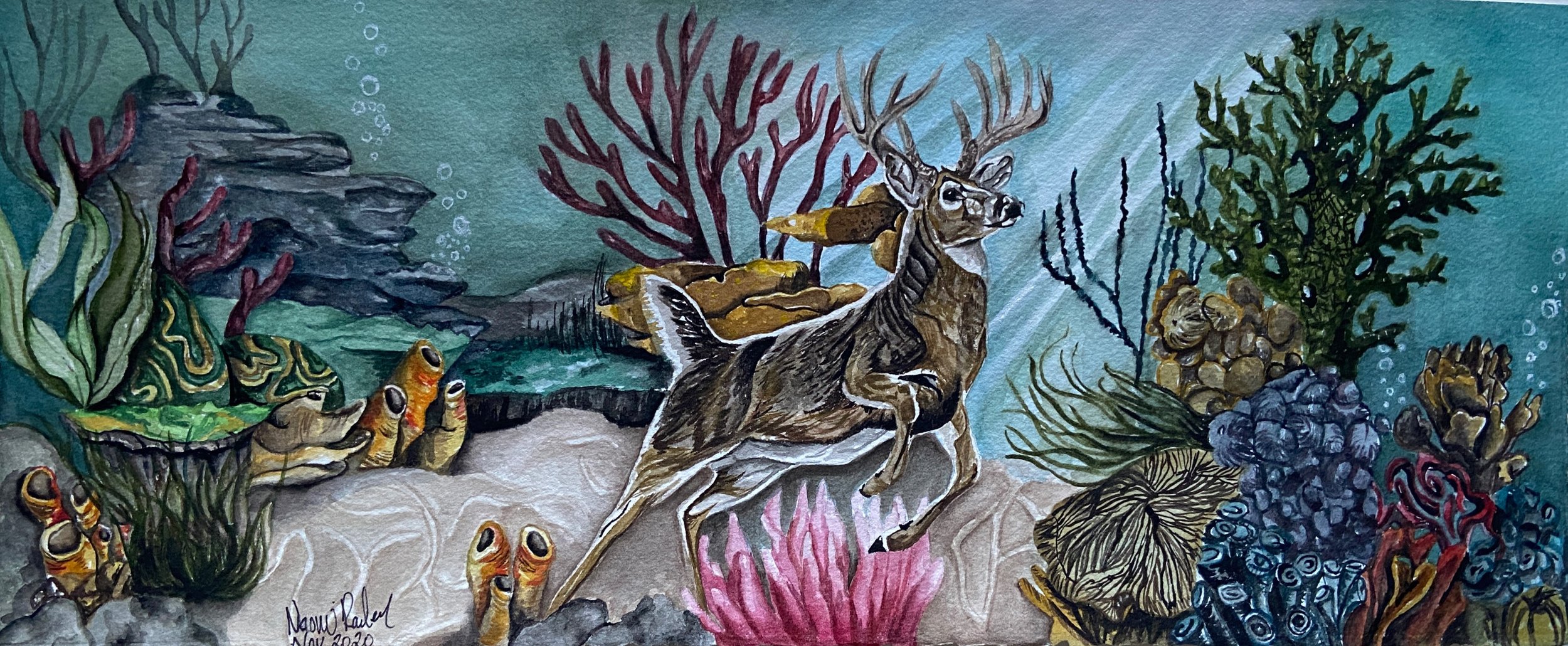 deer underwater.jpeg