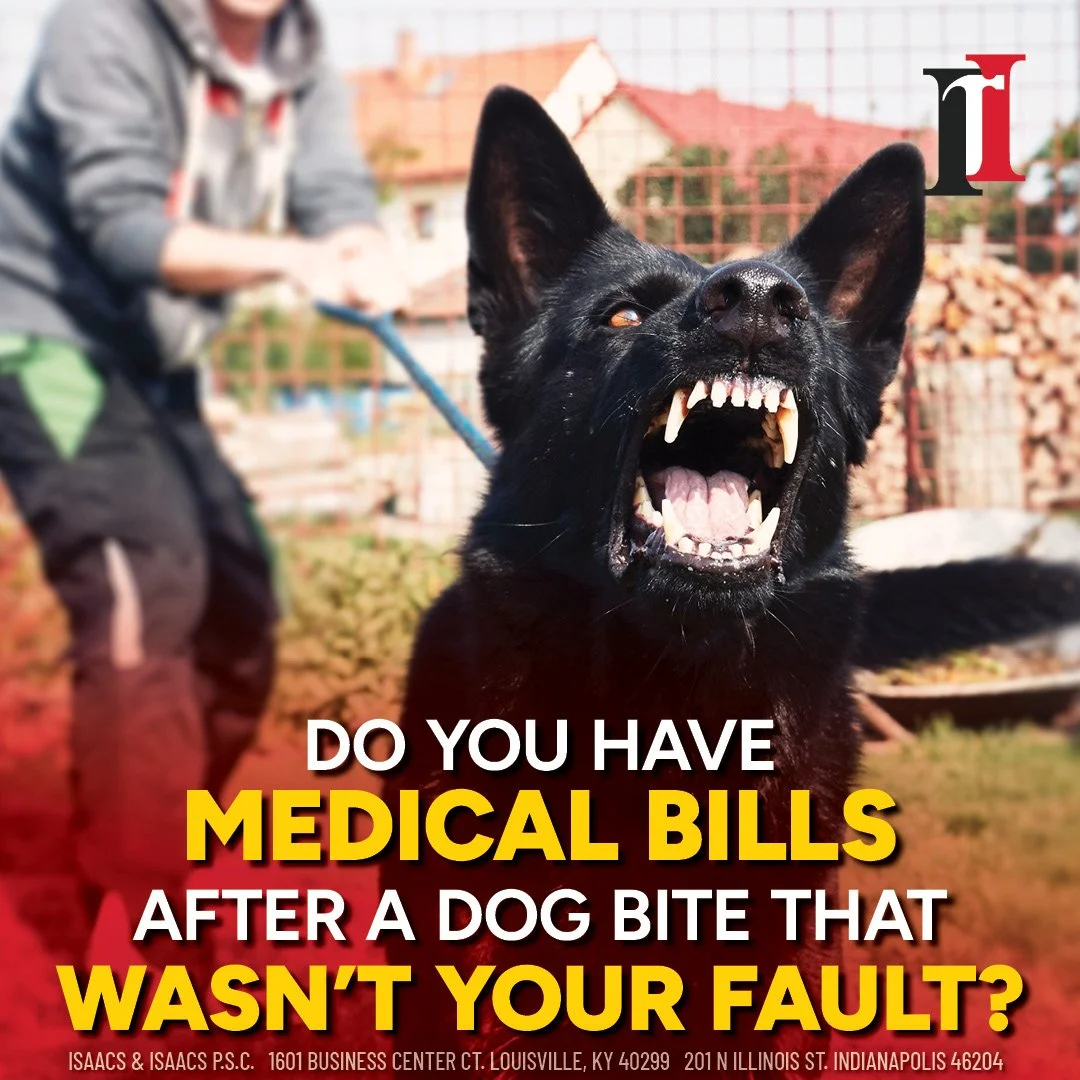 2026.2 Dog Bite_1x1_3.jpg