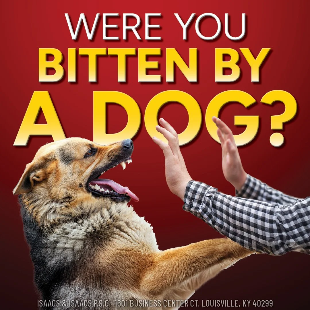 PI_DOG BITE-ENG-KY-STATIC-1x1-DEC2025-1.jpg