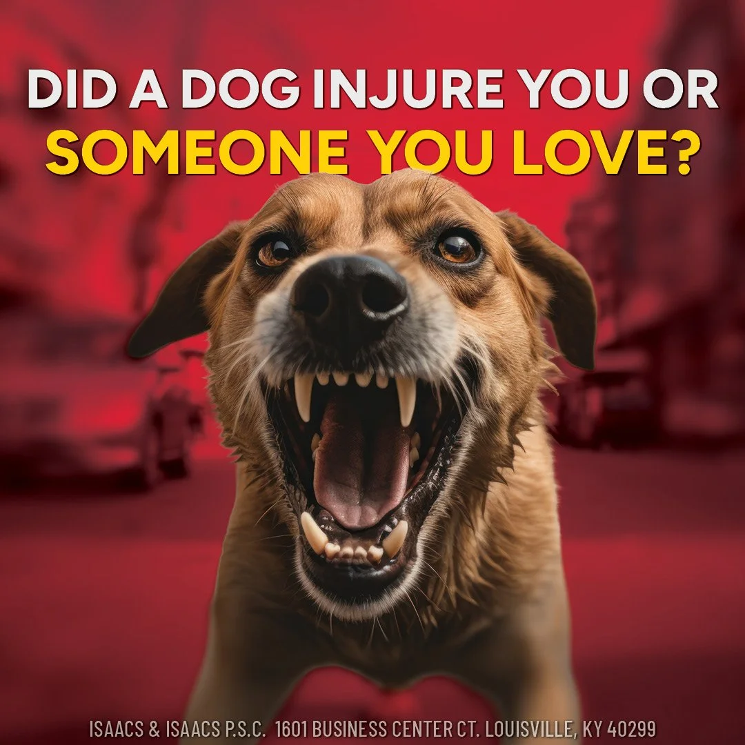 PI_DOG BITE-ENG-KY-STATIC-1x1-DEC2025-2.jpg