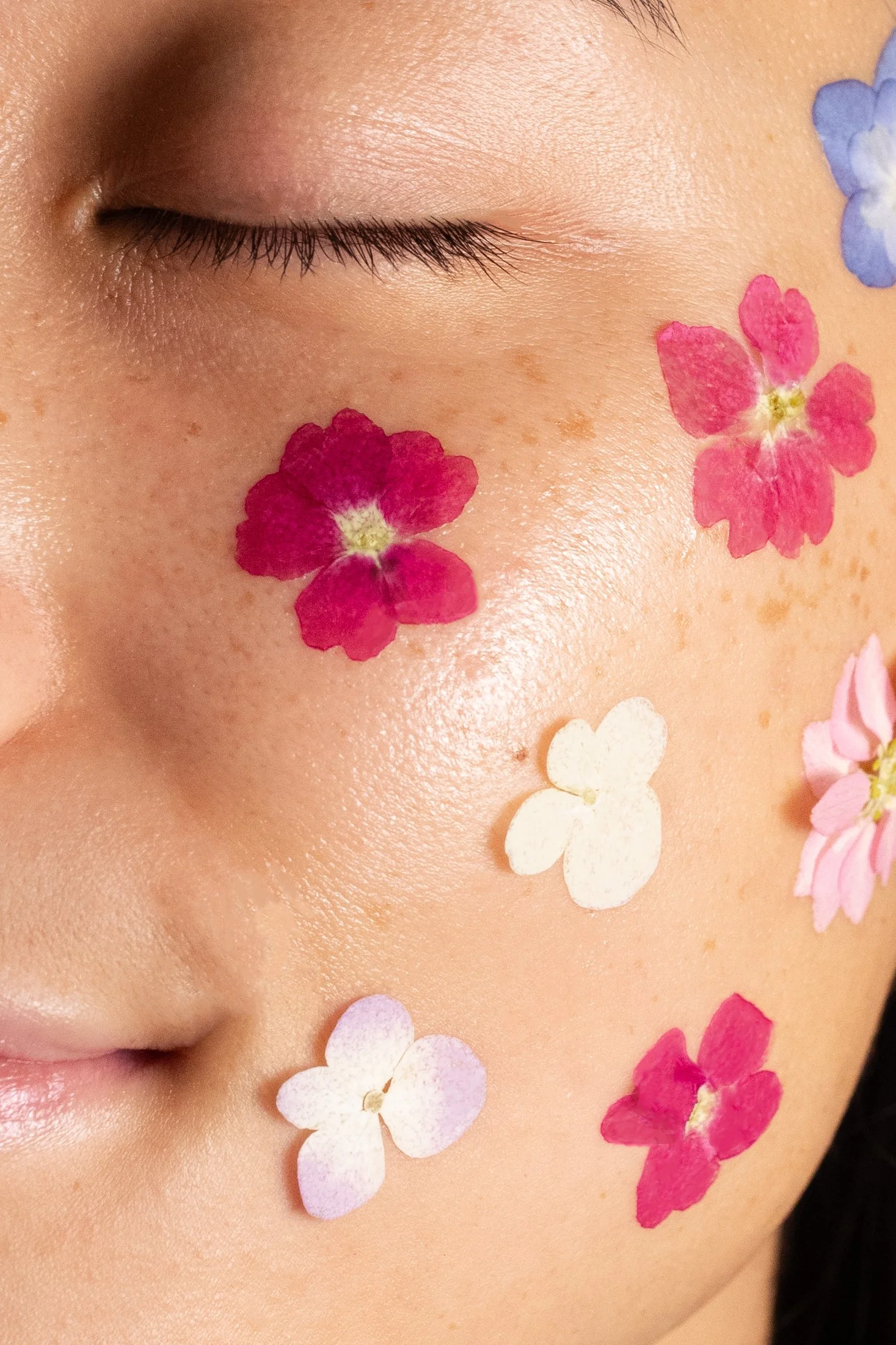 IMG_1550-Flower Portrait.jpg