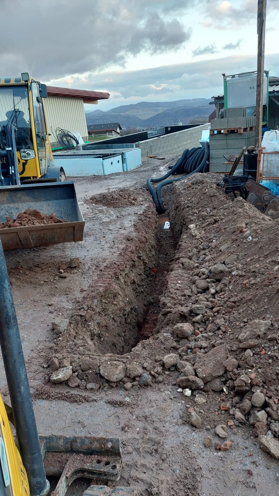 WhatsApp Image 2026-02-17 at 20.28.20.jpeg