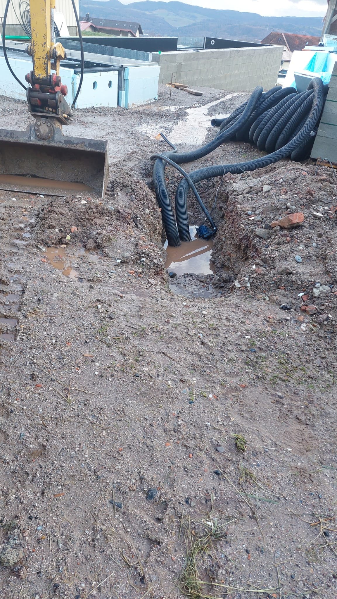 WhatsApp Image 2026-02-17 at 20.28.19 (1).jpeg