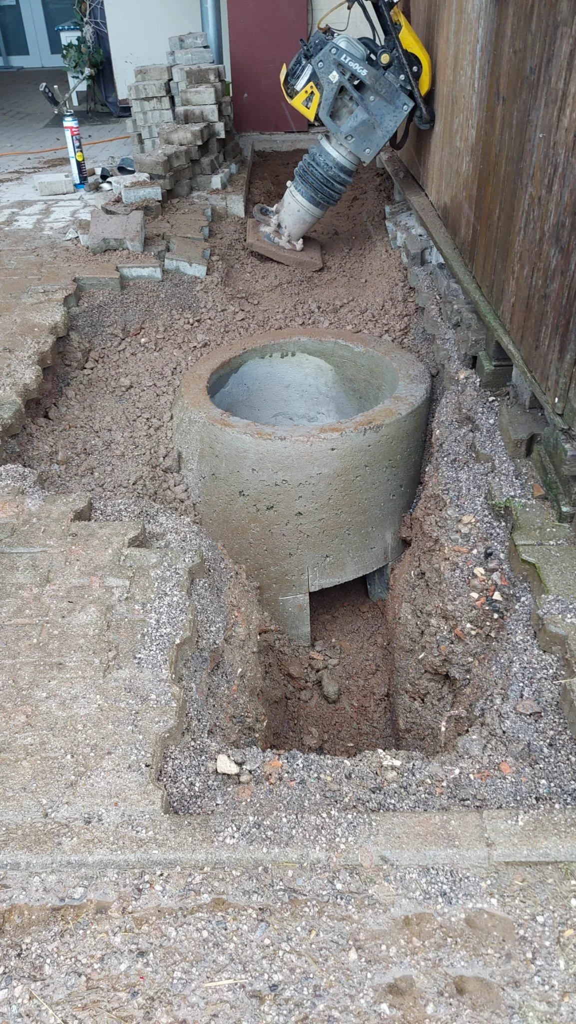 WhatsApp Image 2026-02-17 at 20.28.19.jpeg