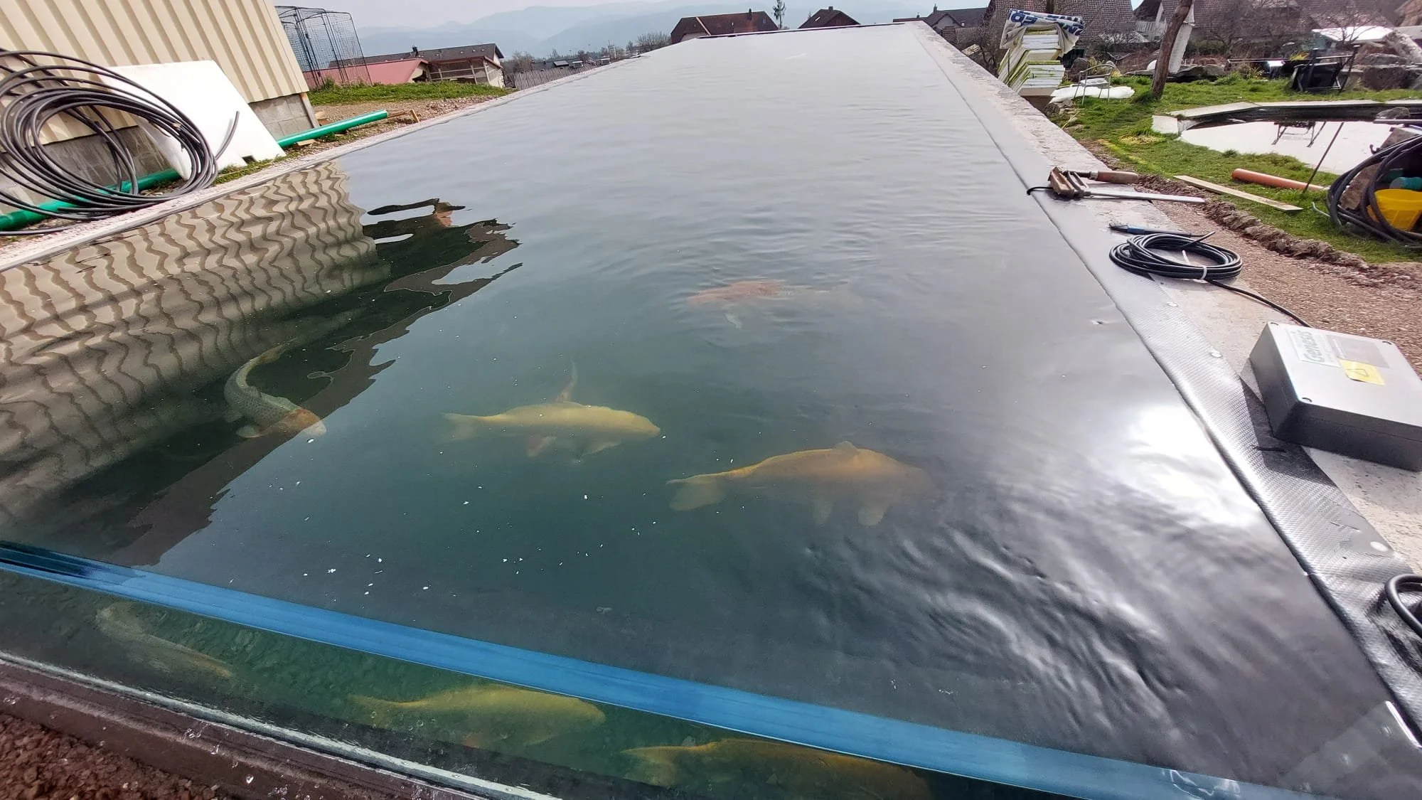 WhatsApp Image 2026-03-07 at 16.15.43.jpeg