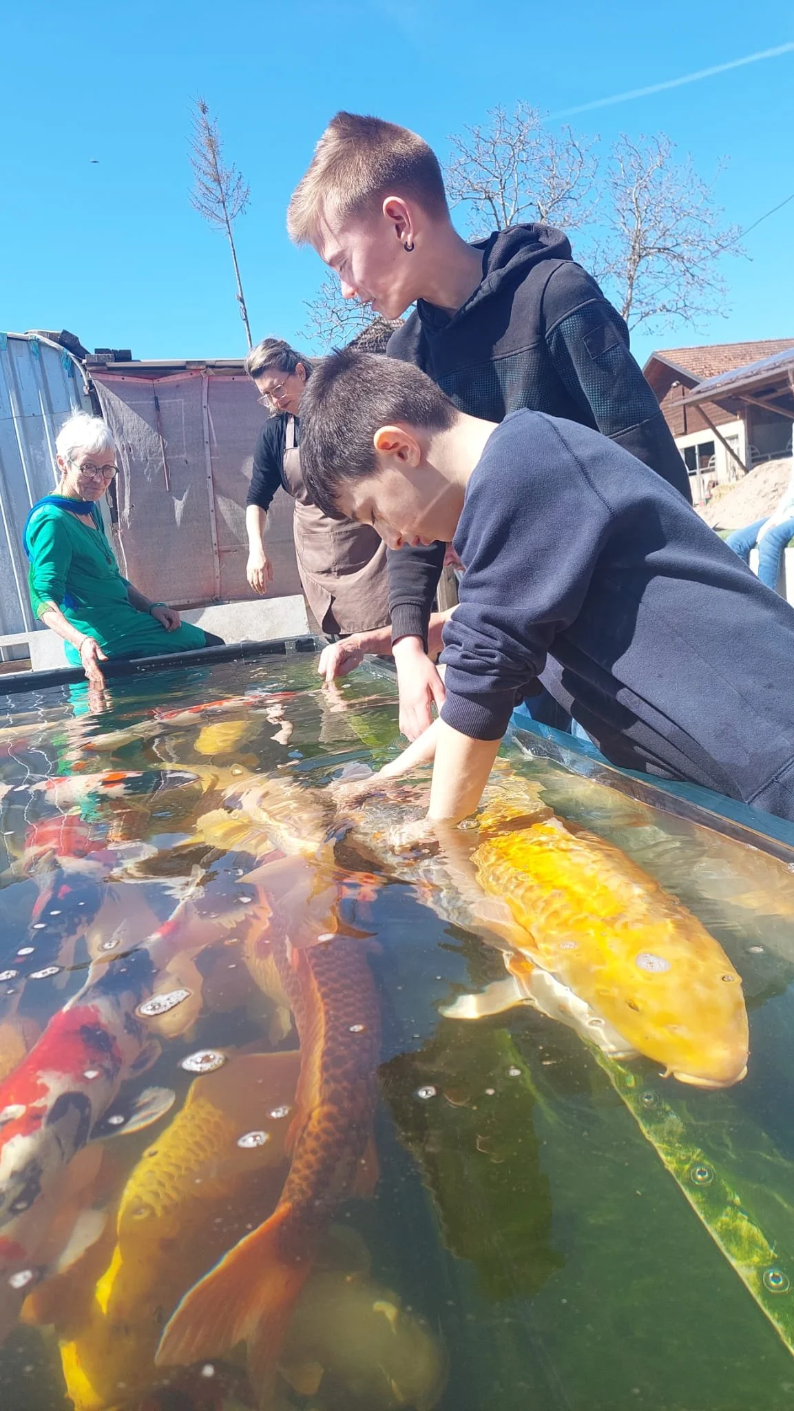 WhatsApp Image 2026-04-08 at 19.05.34.jpeg