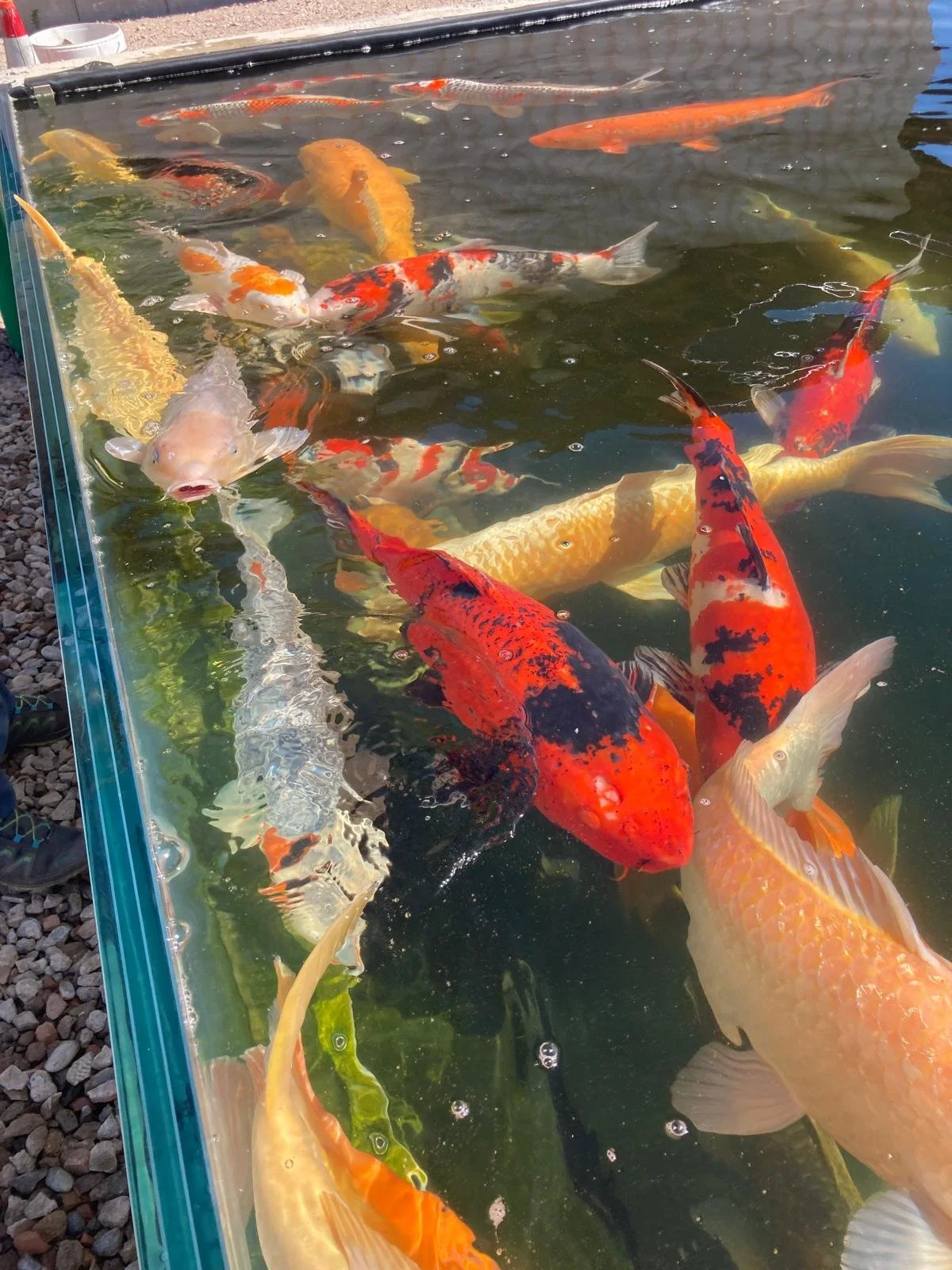 WhatsApp Image 2026-04-08 at 14.11.13 (2).jpeg