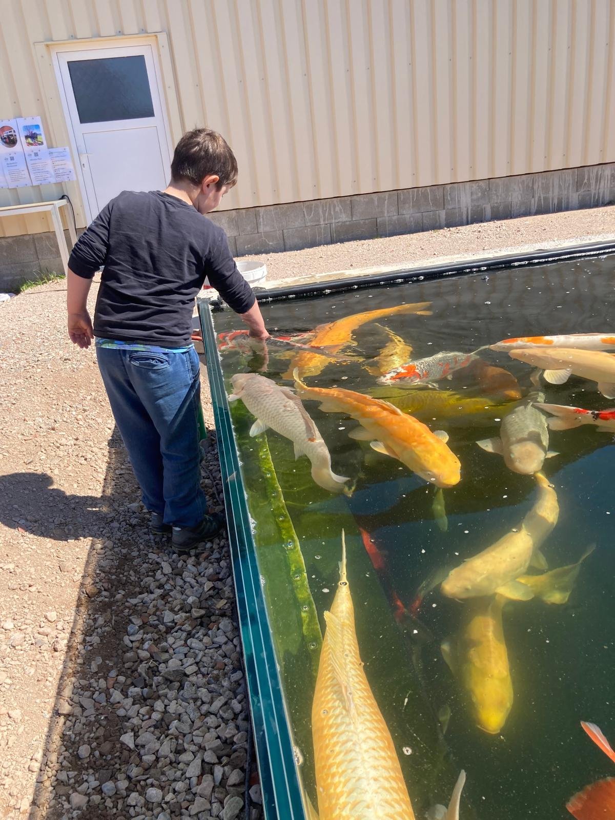 WhatsApp Image 2026-04-08 at 14.11.13 (1).jpeg