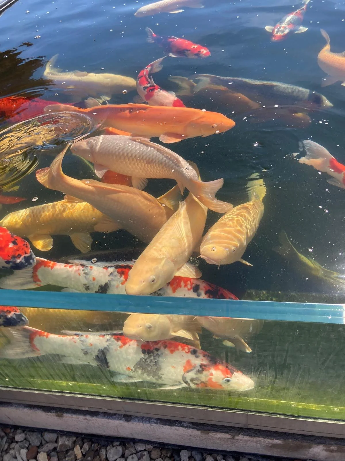 WhatsApp Image 2026-04-08 at 14.11.13.jpeg