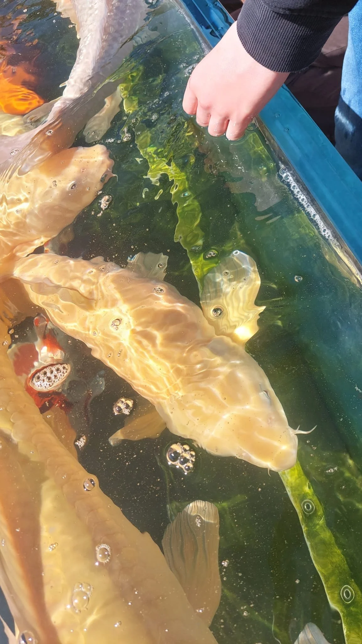 WhatsApp Image 2026-04-08 at 19.05.35.jpeg