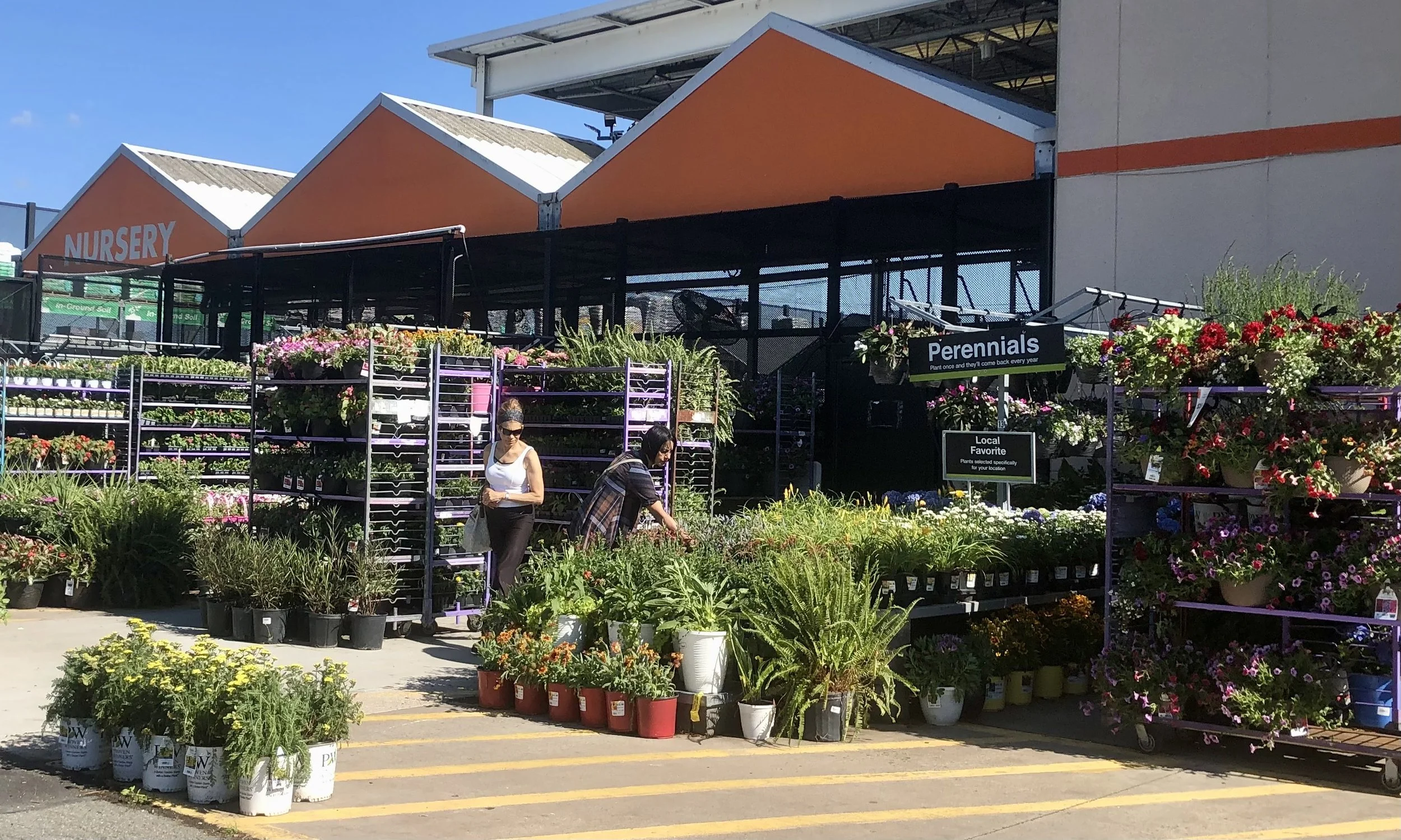 Home Depot Garden Center Plants Home Depot Garden Center Plants