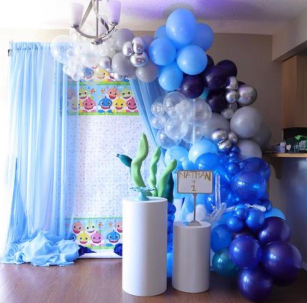 Edmonton Babyshark Kids Birthday Party decoration.jpeg