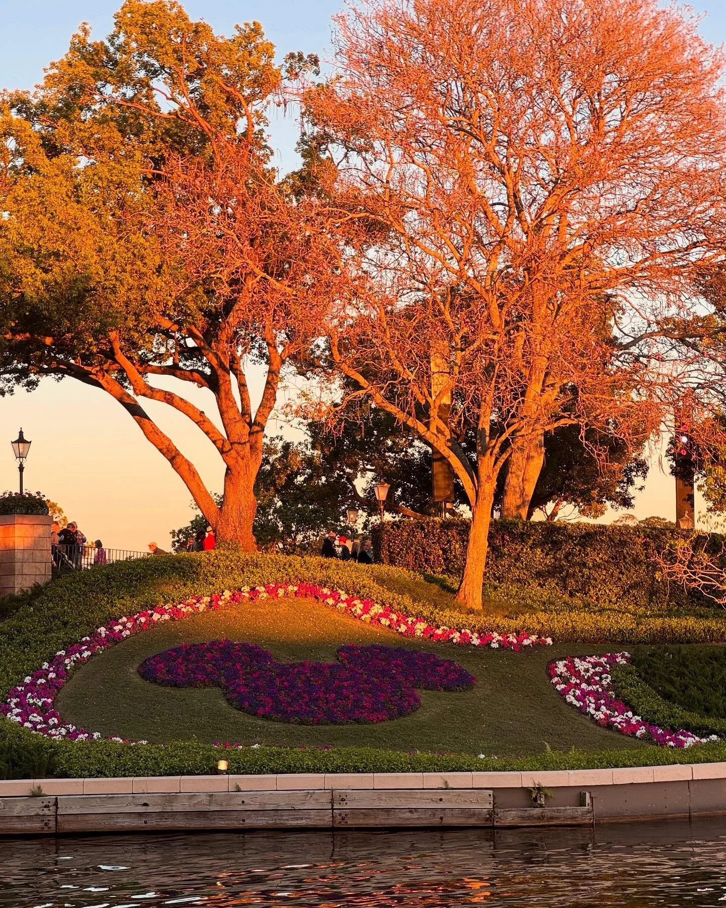 Days at Disney with friends and family. We love having Orlando close by and doing our pediatric rotation down the street from this magical place. Some of us even bought season passes. ✨🐭🎢