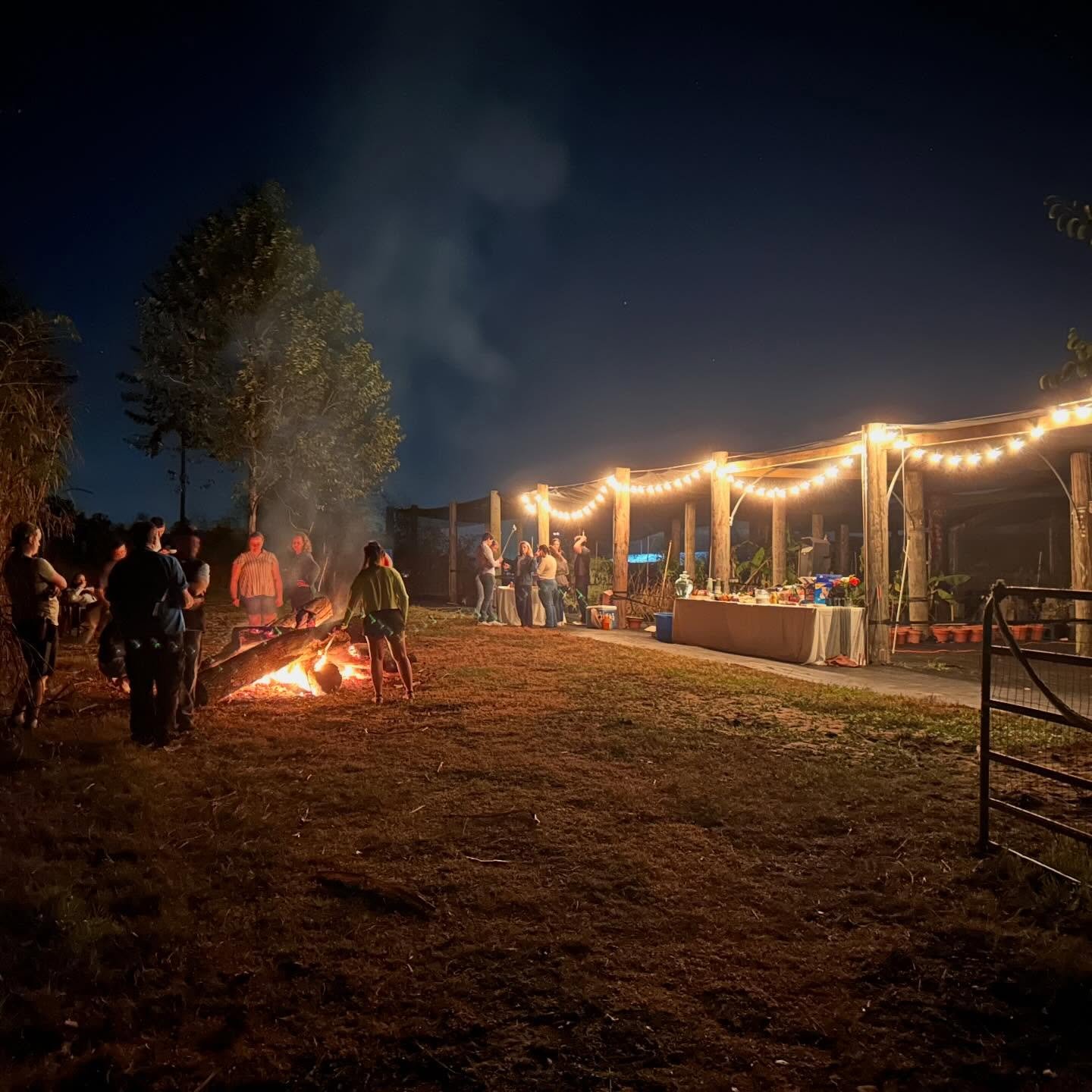 Resident Bonfire Night, featuring some animal friends and fresh-picked Florida citrus! 🍊🍋🥭 Shoutout to @celloz_rule and her family for hosting us!