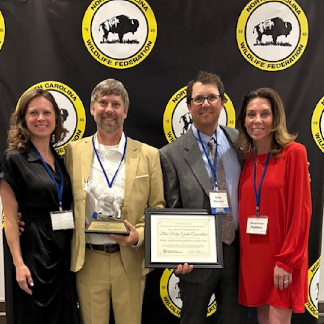 Conservation Awards.png