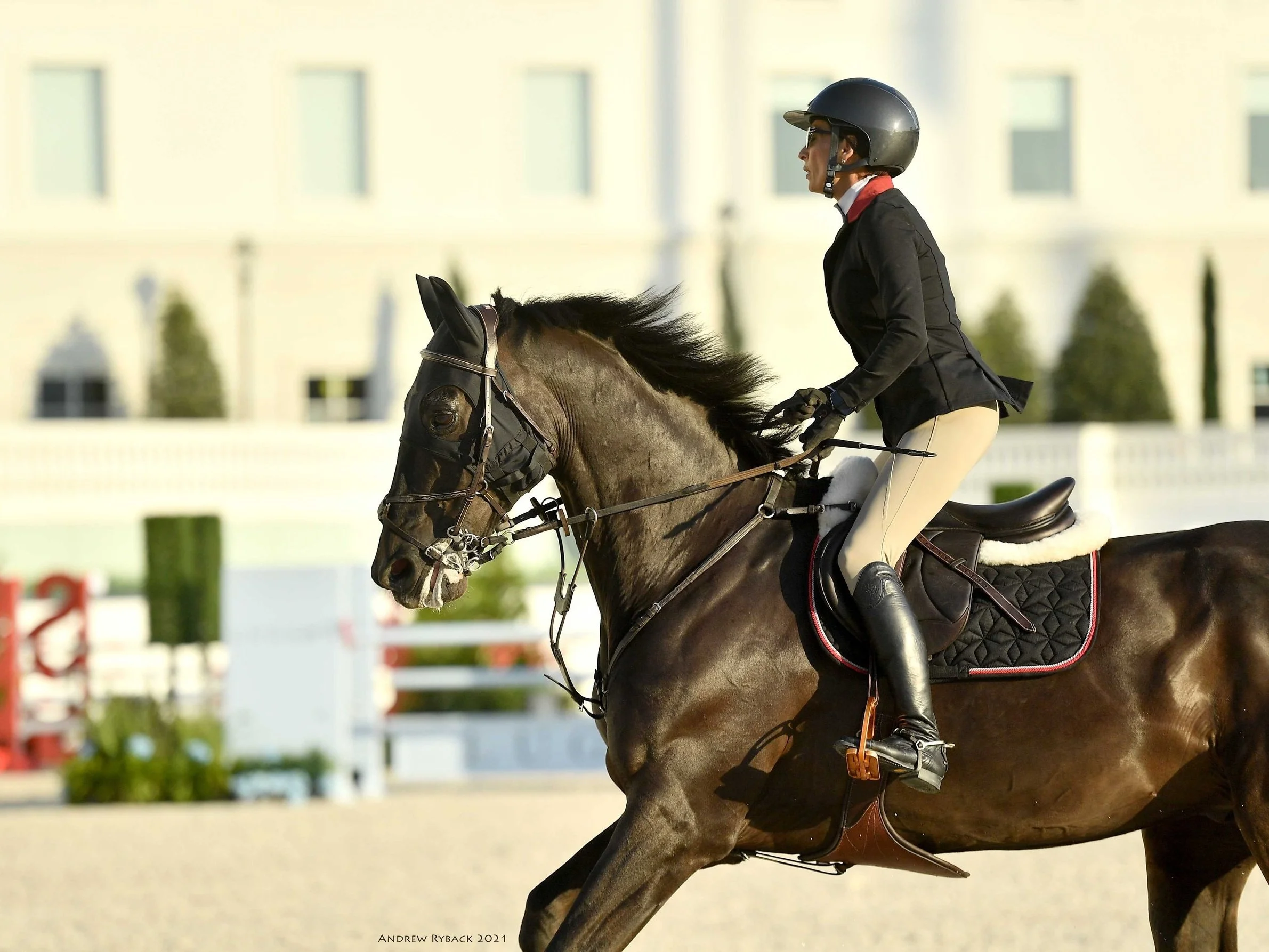 Strength for Equestrian Riders — Edge of Strength Personal Training