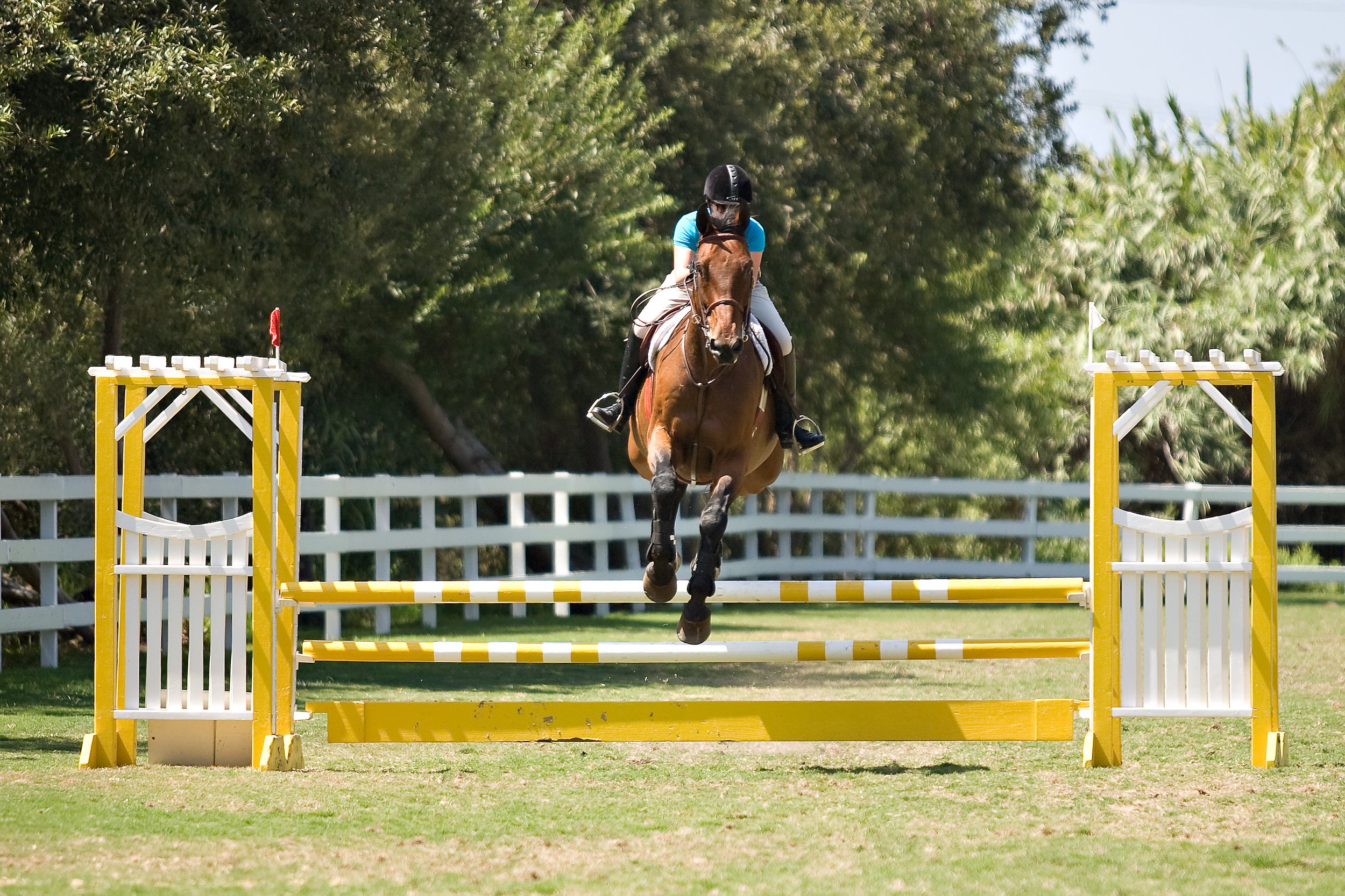 Giving Equestrians the Edge of Strength