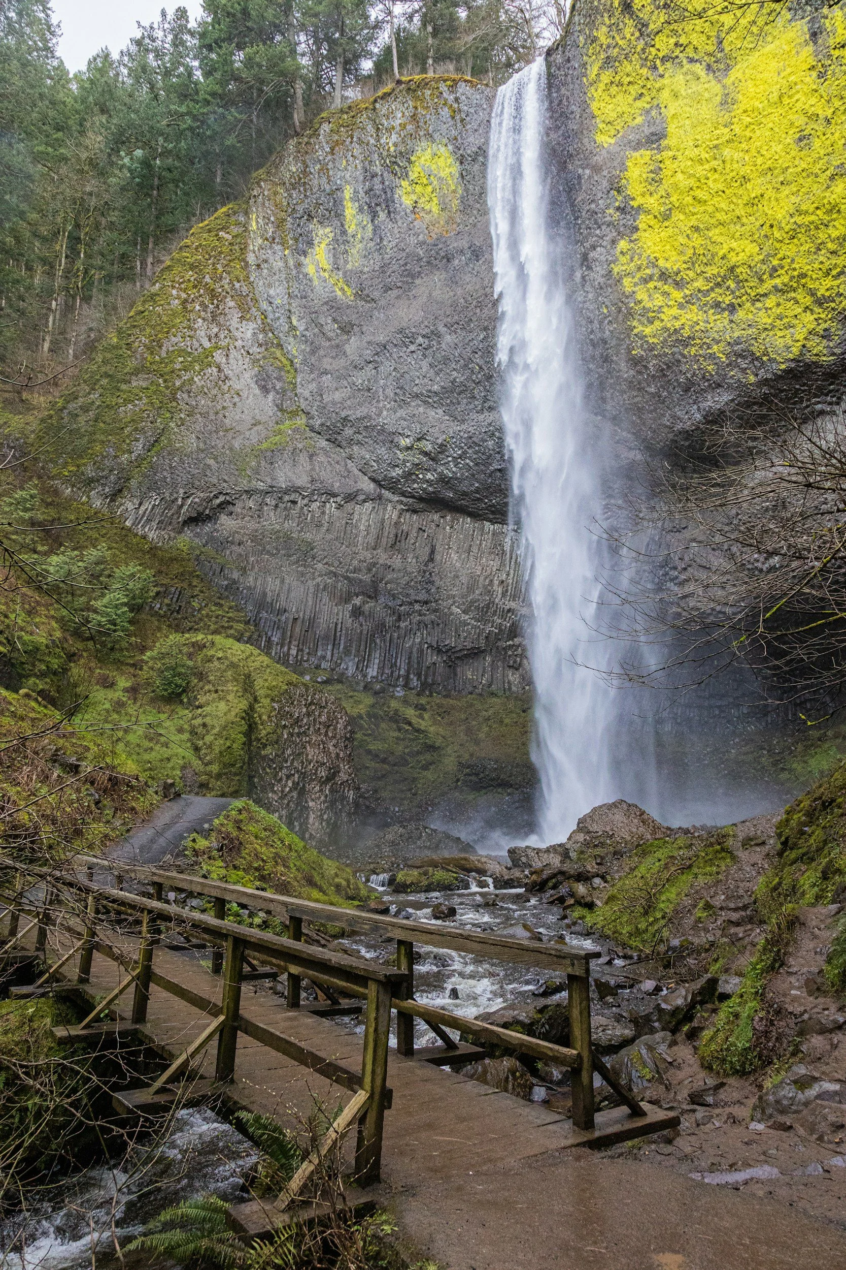 Columbia River Gorge Micro Wedding Guide