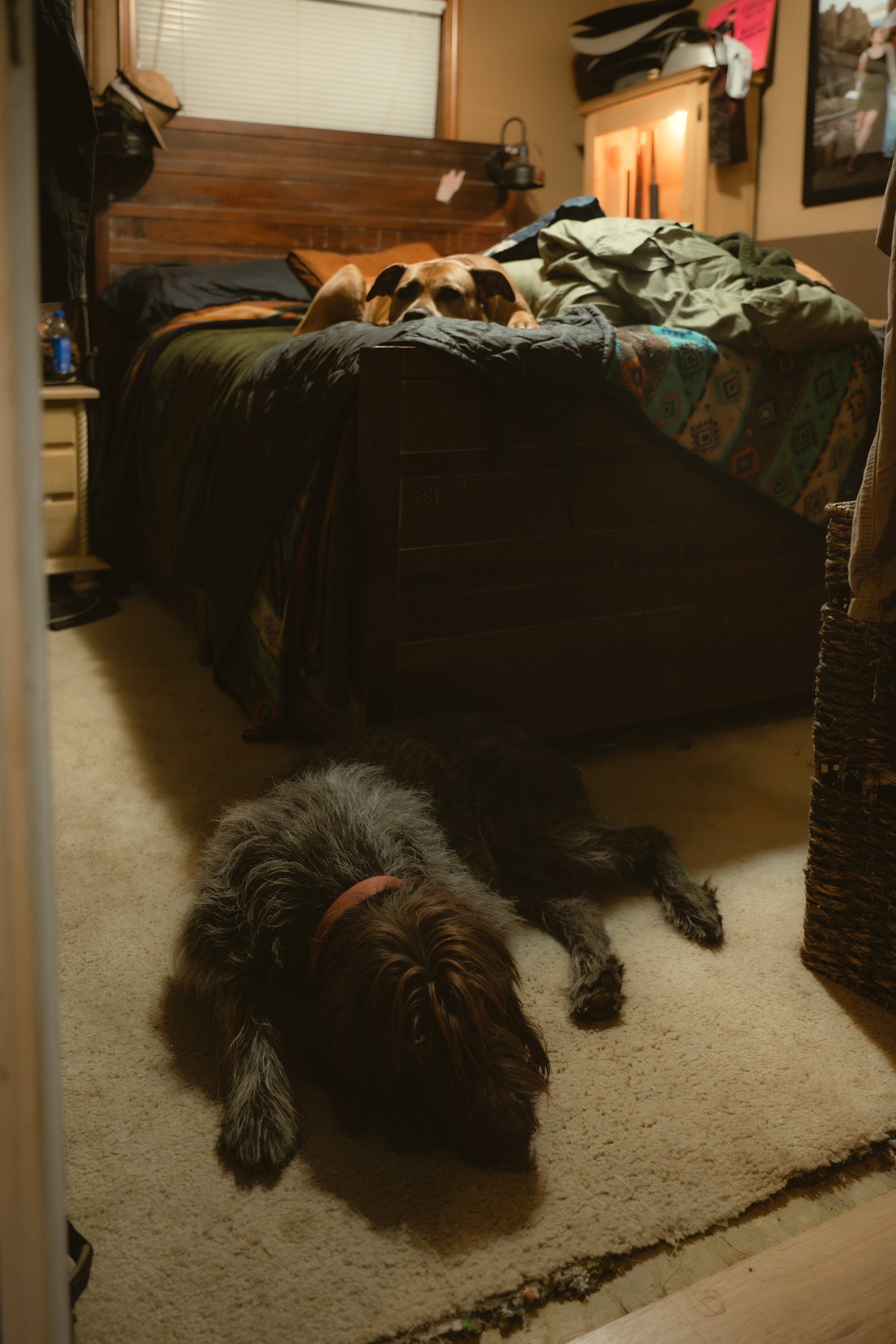 DSC_7766.jpeg