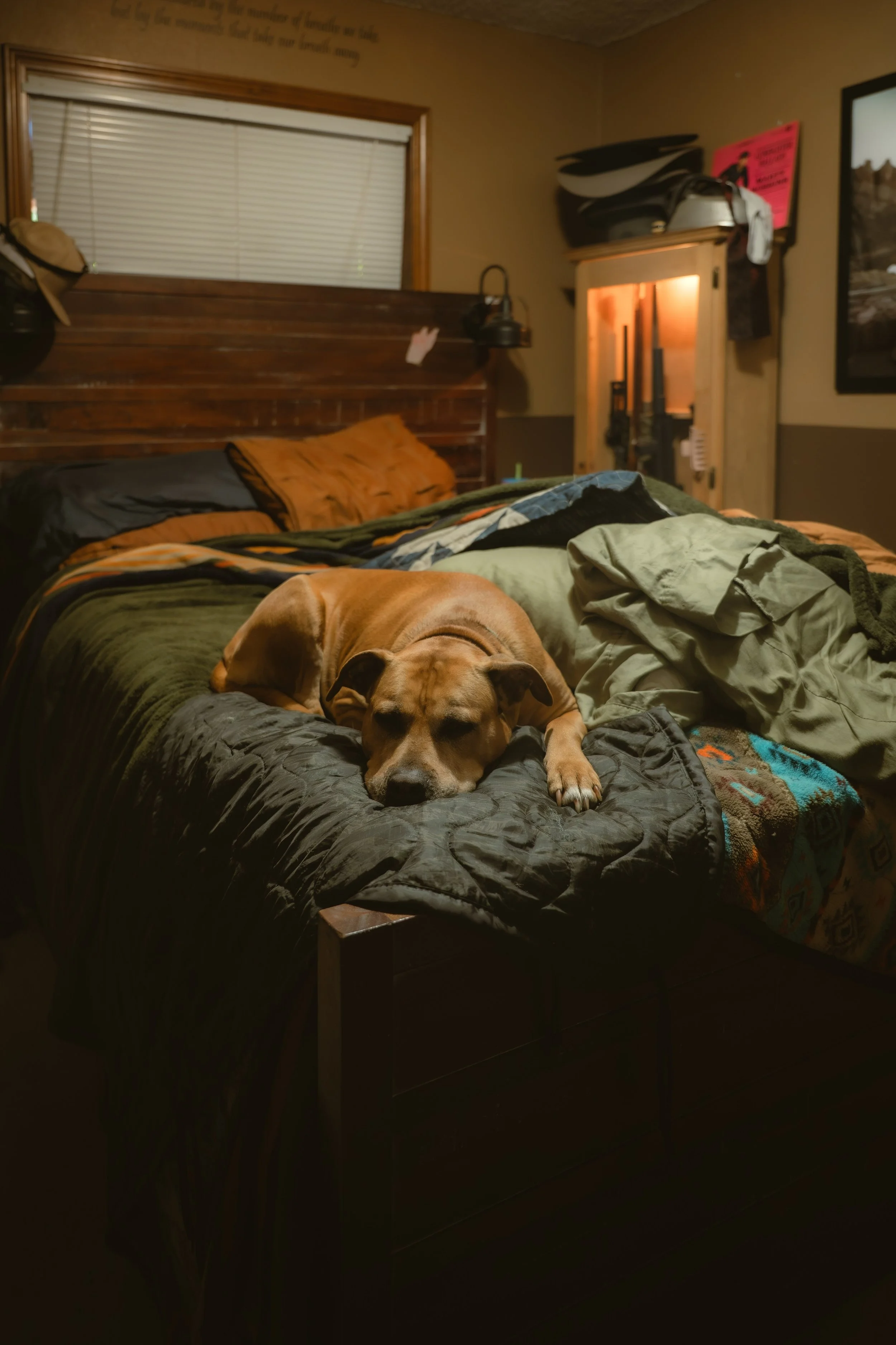 DSC_7765.jpeg