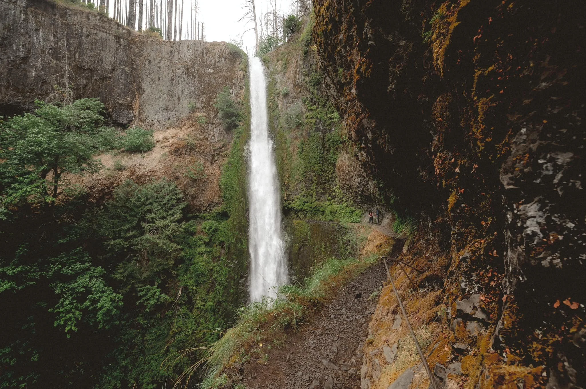 intimate wedding portraits near Tunnel Falls in the Columbia River Gorge surrounded by lush forest and waterfall scenery