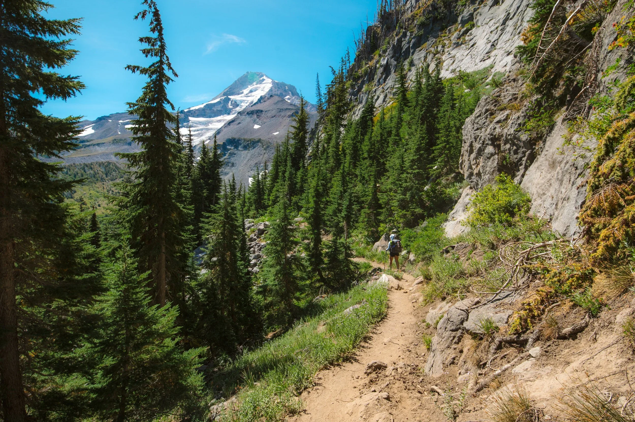 hiking trail near mount hood oregon with alpine forest and mountain views for adventure elopements
