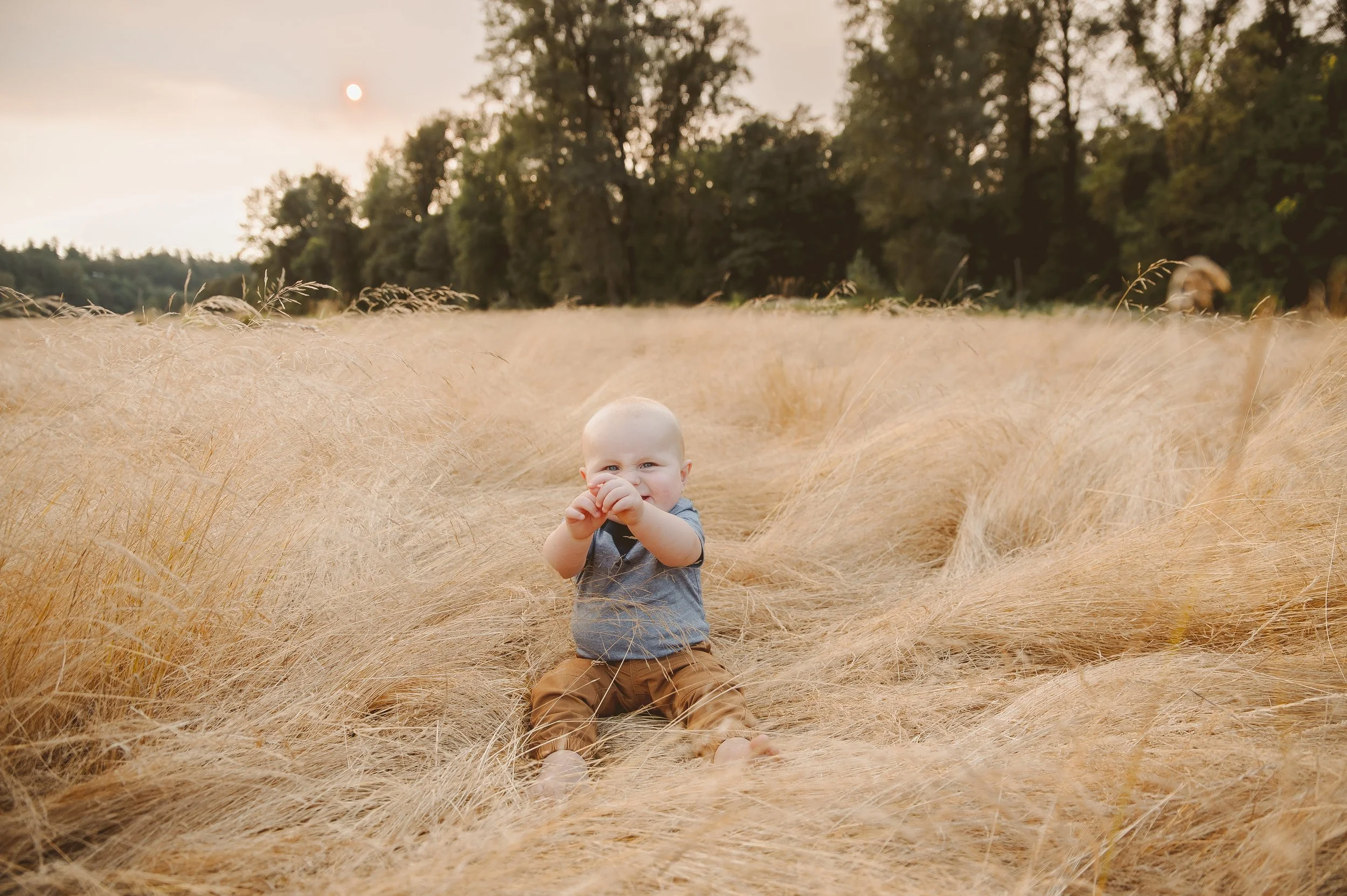 Baby milestone portrait of an infant sitting in tall golden grass during sunset, photographed by a Vancouver Washington family photographer.
