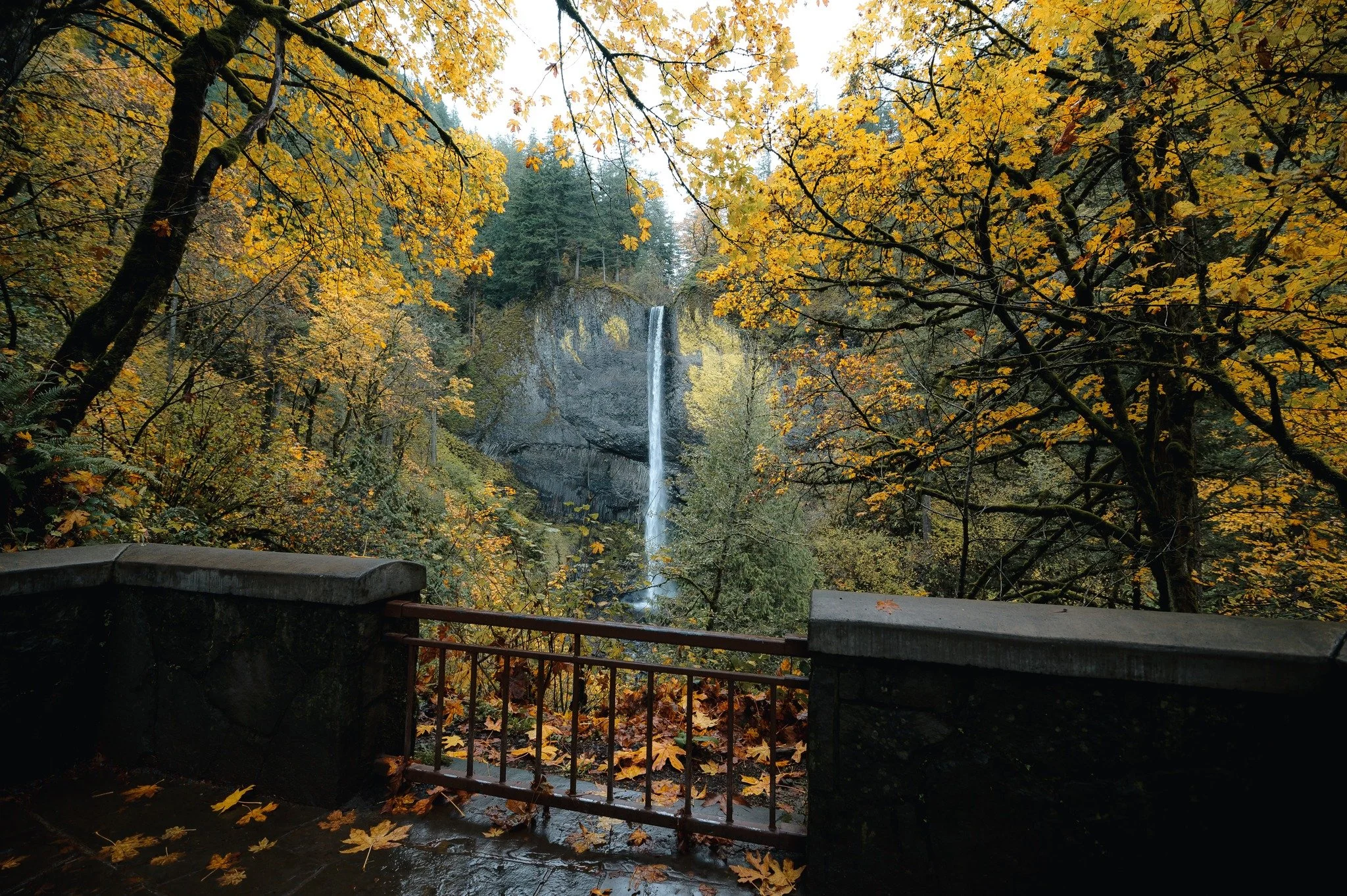 Couple during a micro wedding ceremony overlooking the Columbia River Gorge with scenic cliffs and river views
