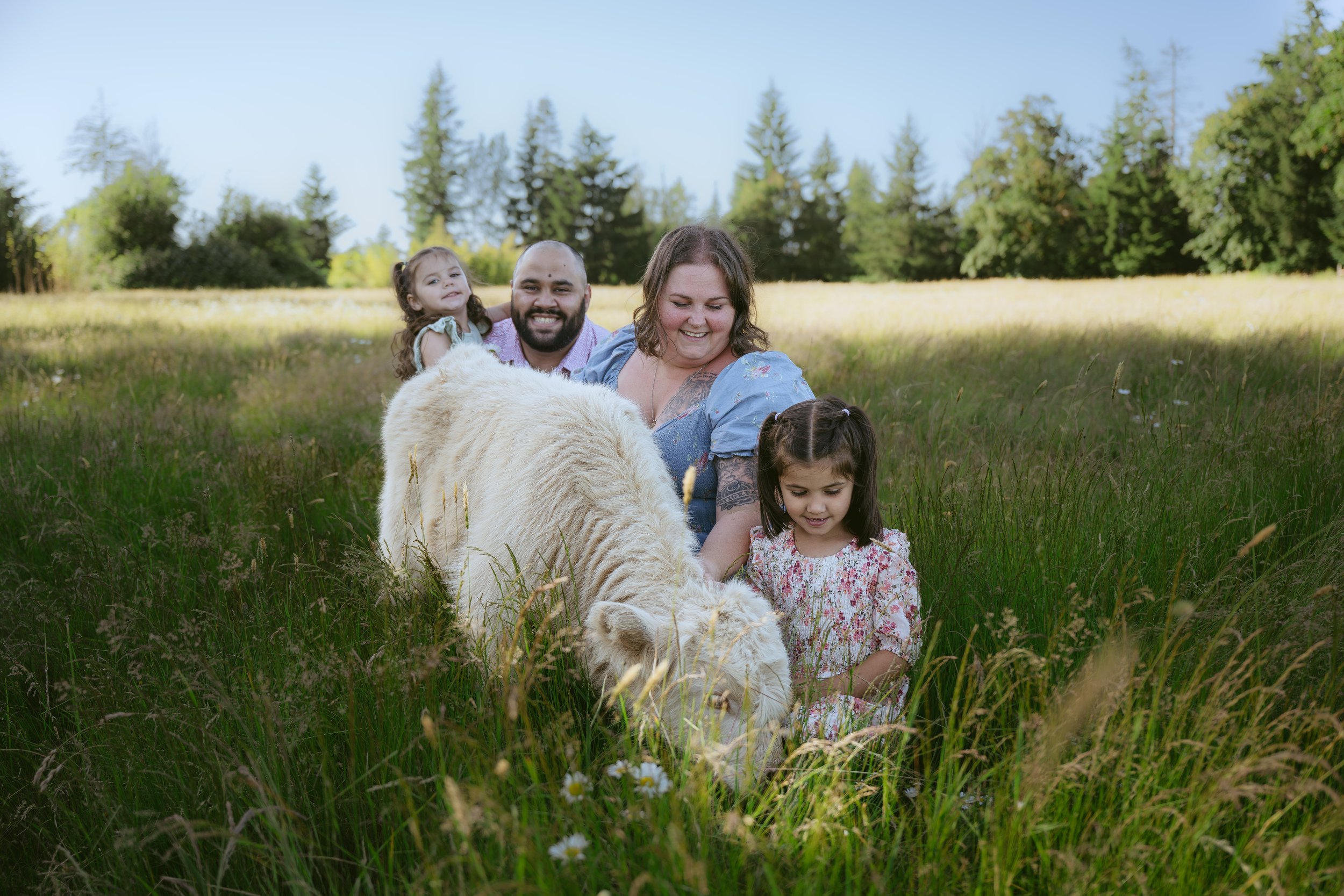 Family of four posing beside a white Highland cow in tall grass at Gather and Feast Farm in La Center, Washington.
