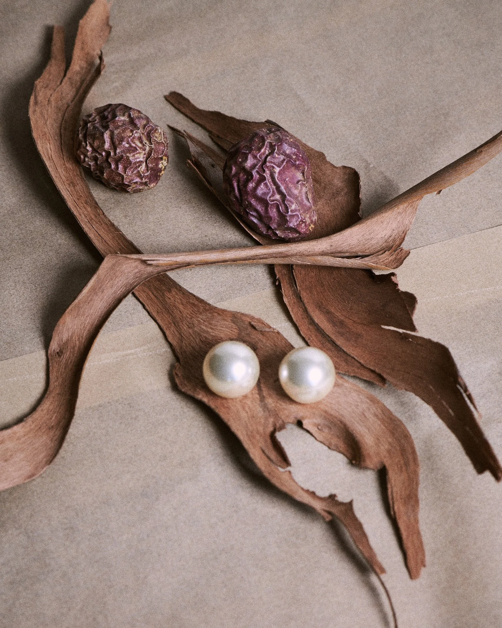 Hidden Beauty_March2025_10527 copy.jpg