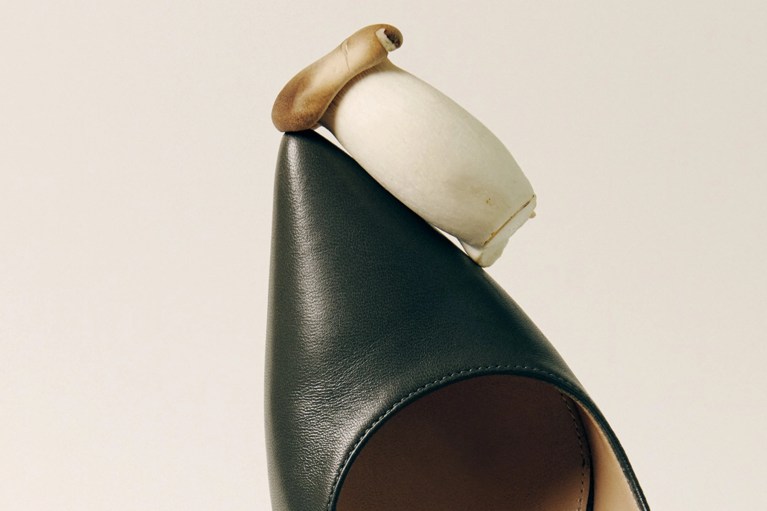 Still Life_assignment_May_202510848 copy.jpg