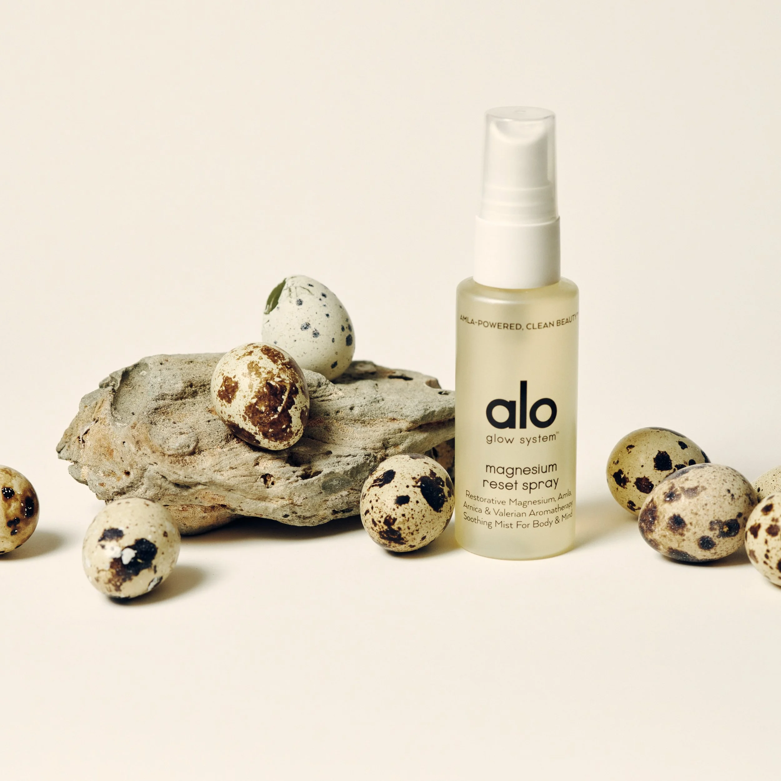 Still Life_assignment_May_202511095 copy.jpg