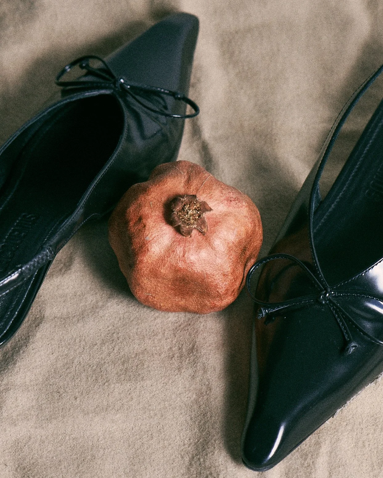 Hidden Beauty_March2025_10543 1 copy.jpg