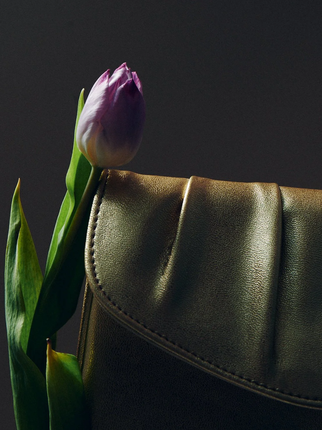 BAGS_May202612968.jpg
