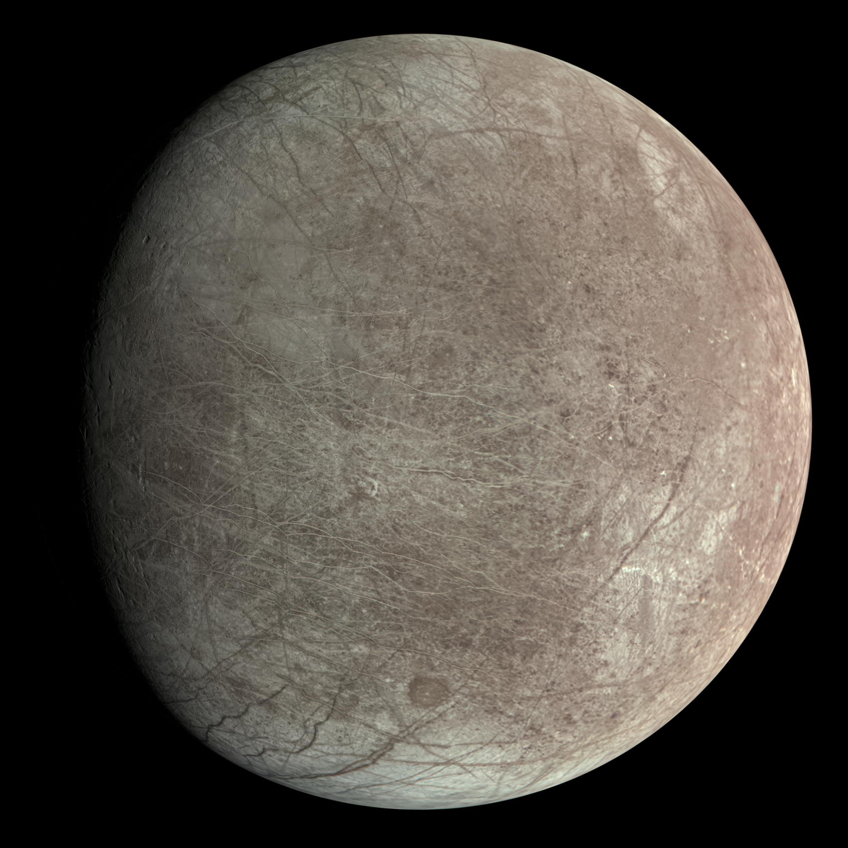 Why Europa Stayed Wet While Io Dried Out: Tracing the Early Lives of Jupiter’s Inner Moons