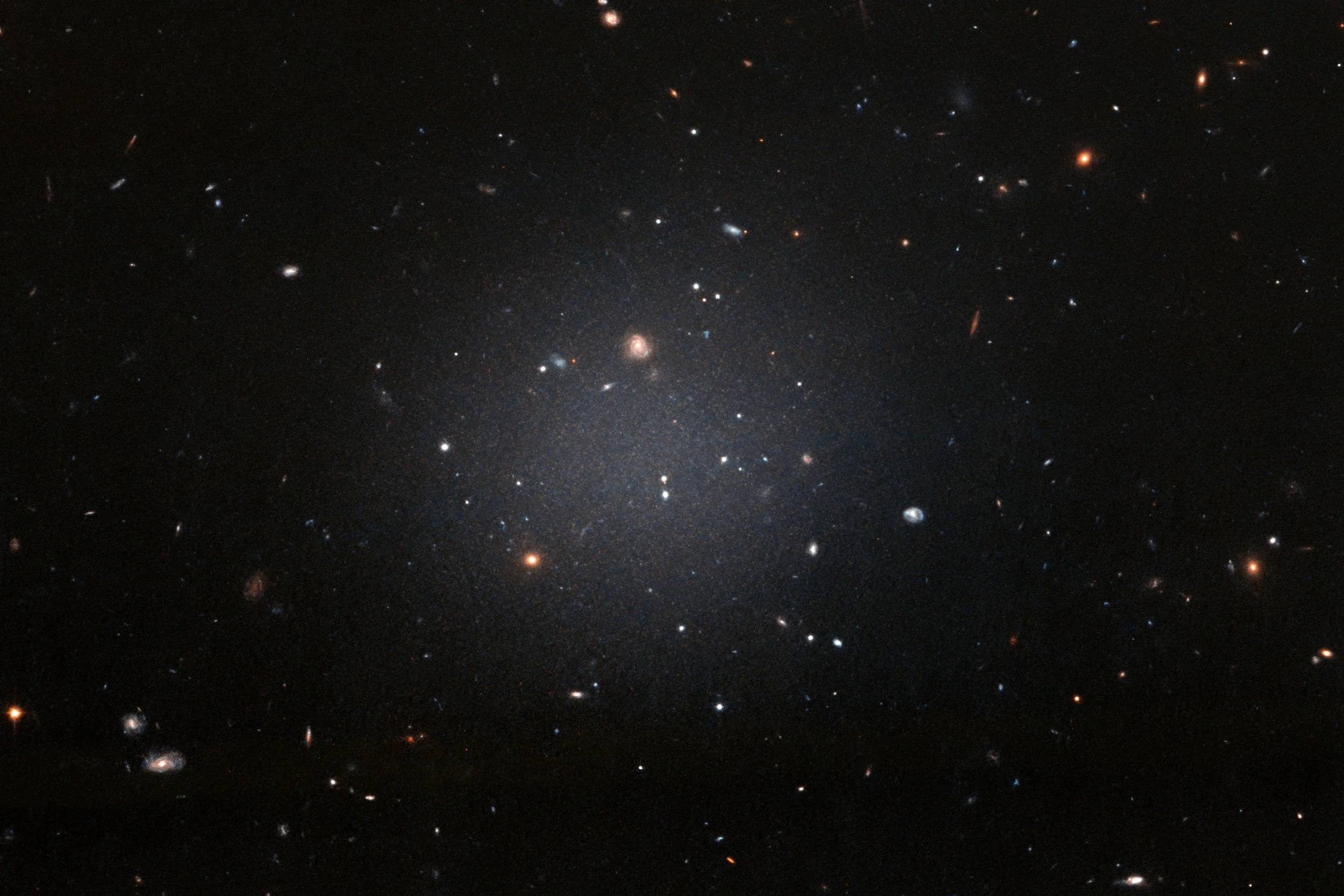 A Cosmic Smoking Gun: Velocities Reveal a Violent Birth for a Trail of Dark Matter Free Galaxies