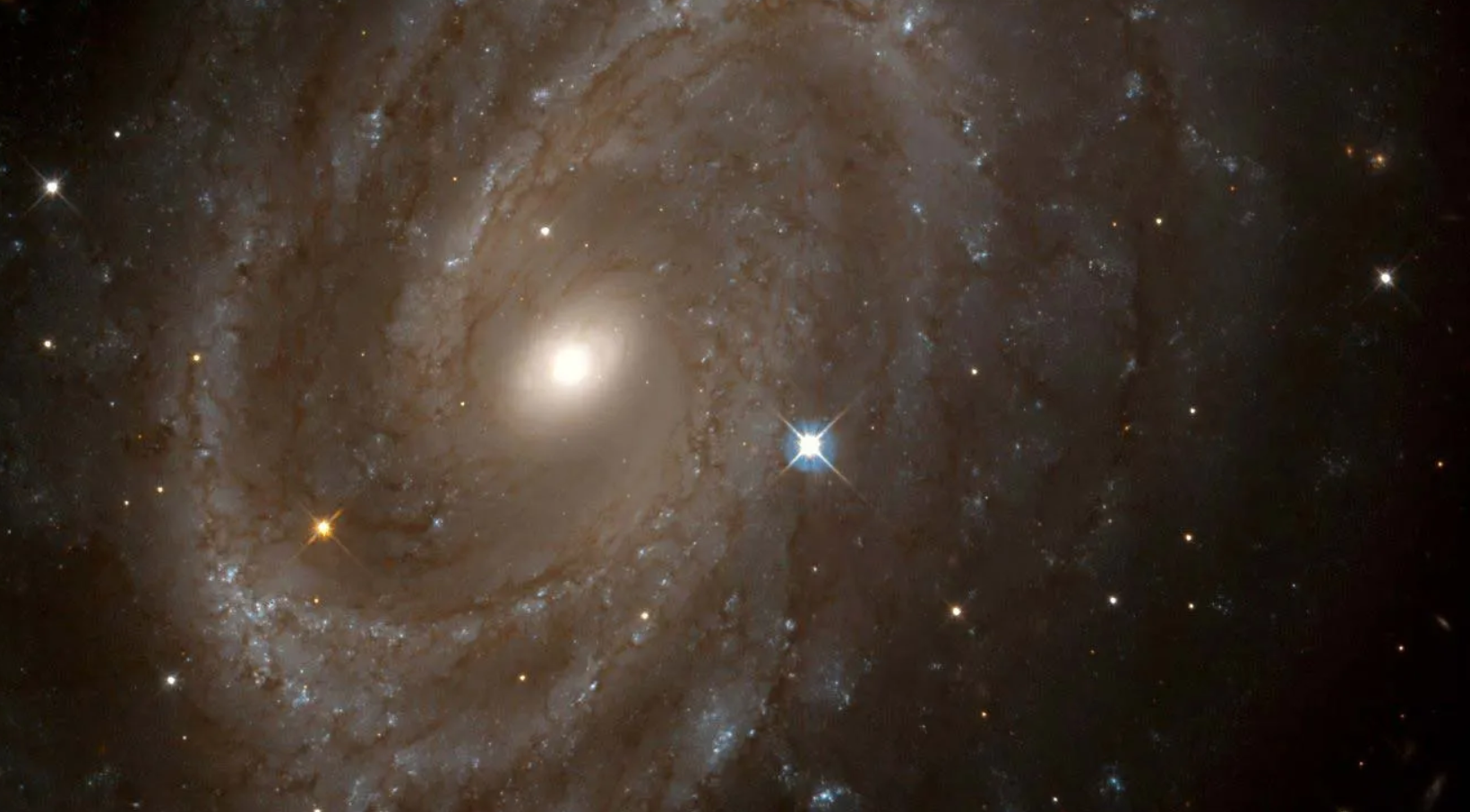 Metallicity in Motion: How a Cepheid’s Phase Reveals New Clues About the Leavitt Law