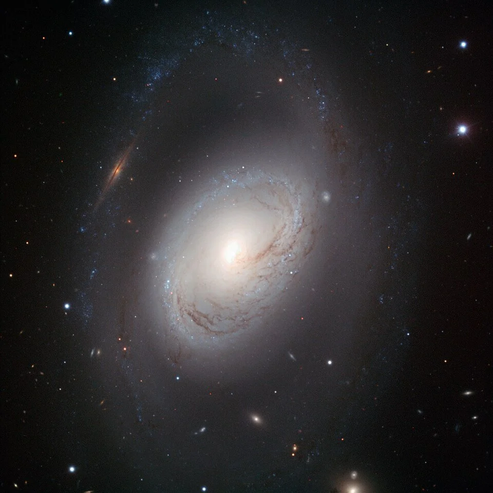 A Sparse Halo with a Strange Story: Probing the Outer Stellar Halo of the Spiral Galaxy M96