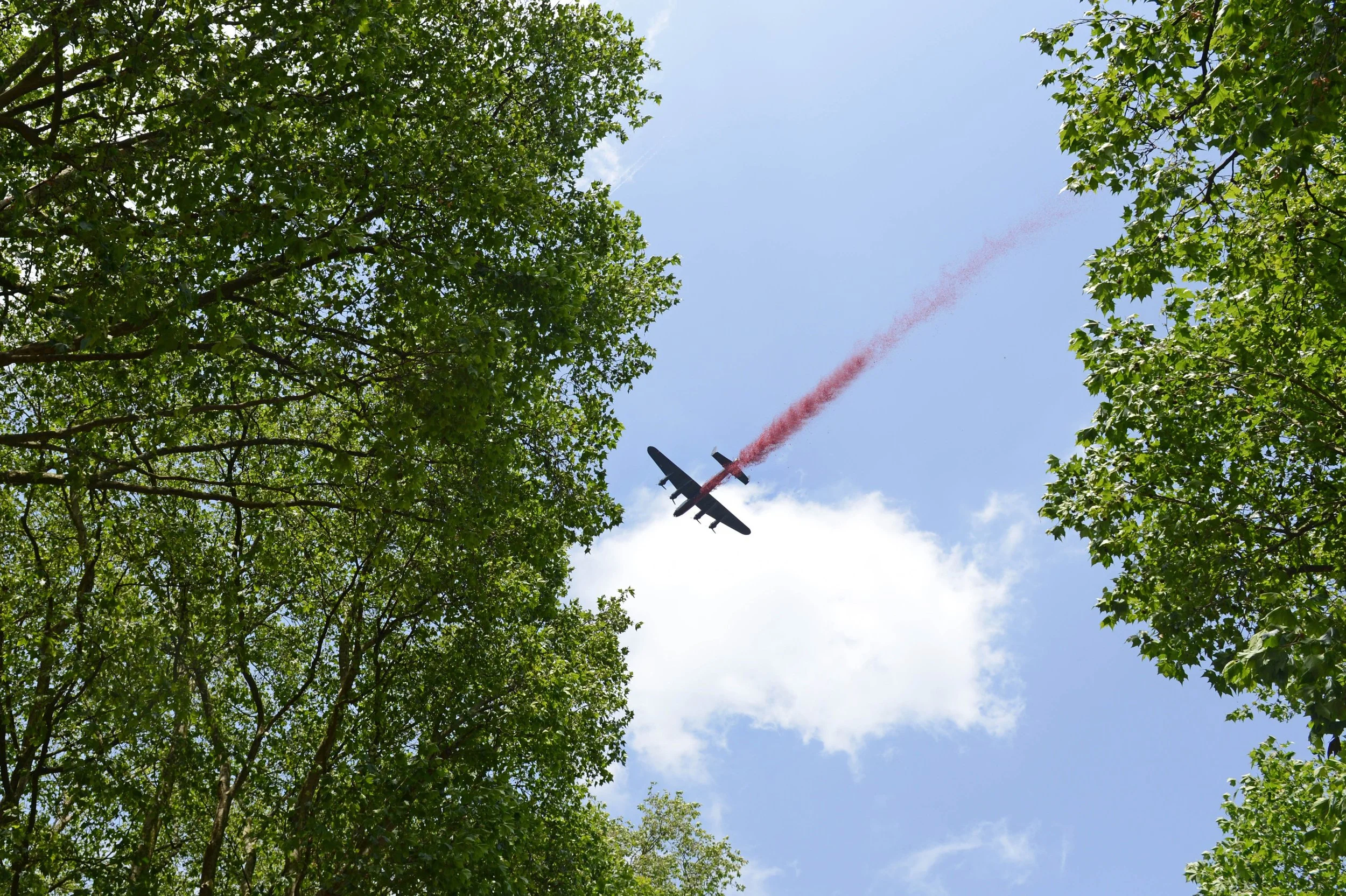 A plane flying in the sky emitting a trail of red smoke with green leafy trees surrounding the scene.